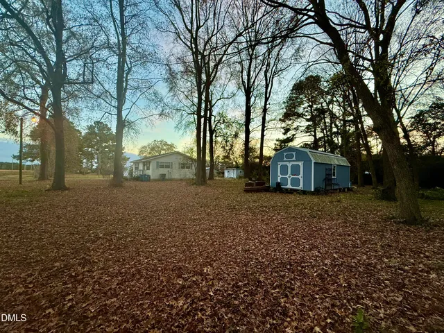 a tall tree in middle of the garden