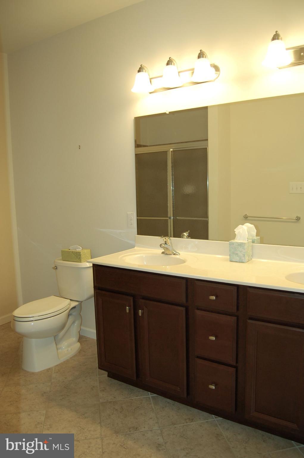 164 Davish Road Coatesville, PA 19320 - Photo 24 of 80 Primary bath double-bowl vanity