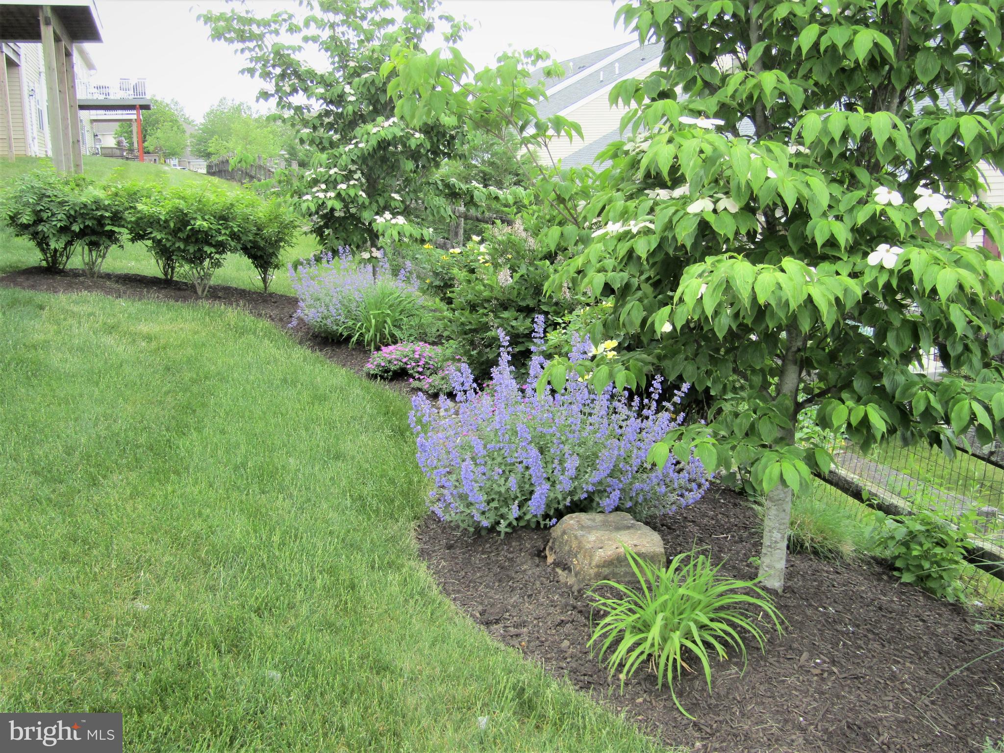 164 Davish Road Coatesville, PA 19320 - Photo 68 of 80 Serenity abounds in the gardens at #164