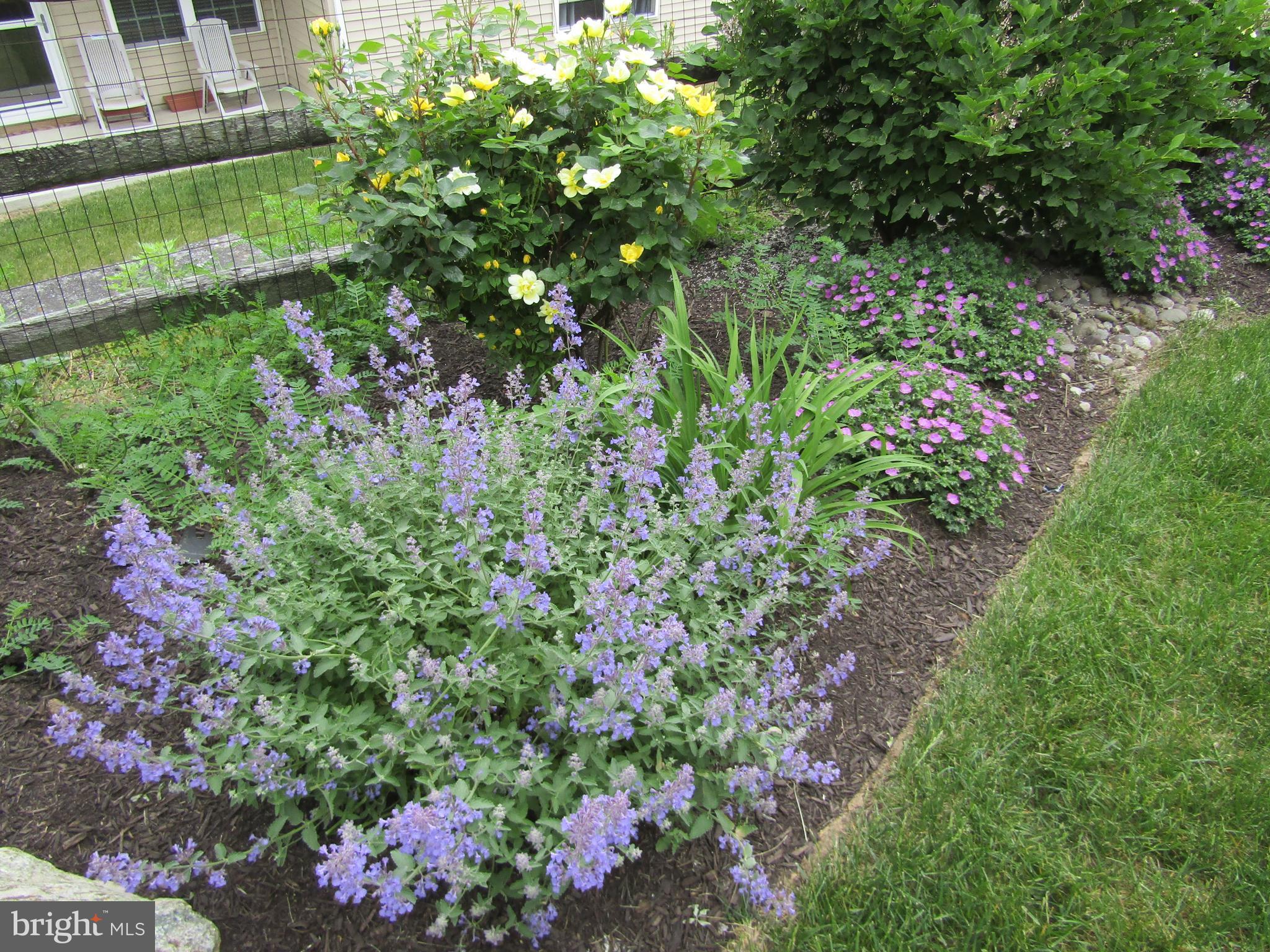 164 Davish Road Coatesville, PA 19320 - Photo 70 of 80 Another garden view in spring 2021