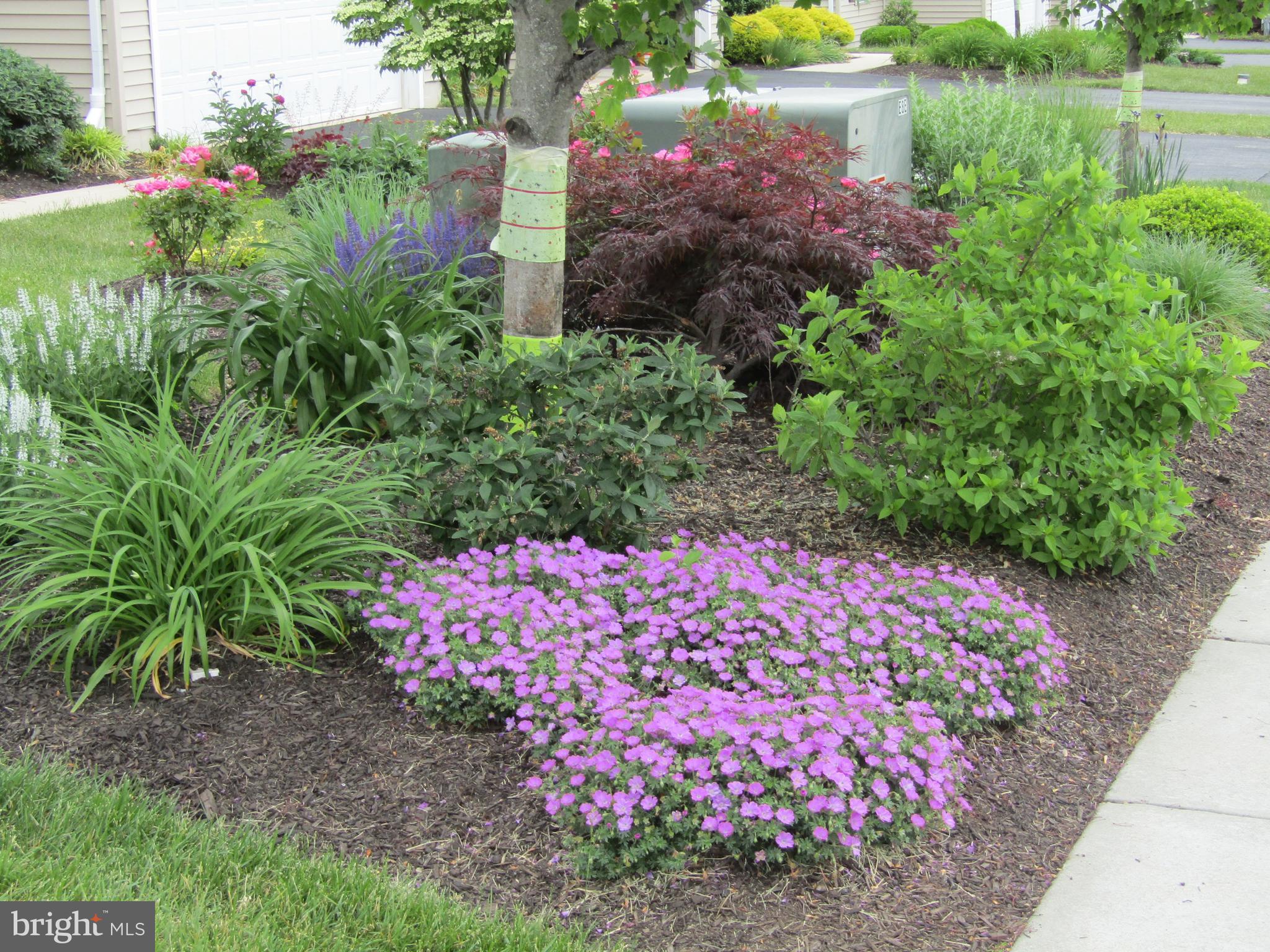 164 Davish Road Coatesville, PA 19320 - Photo 71 of 80 Don't like to garden? Ben will do it for you.