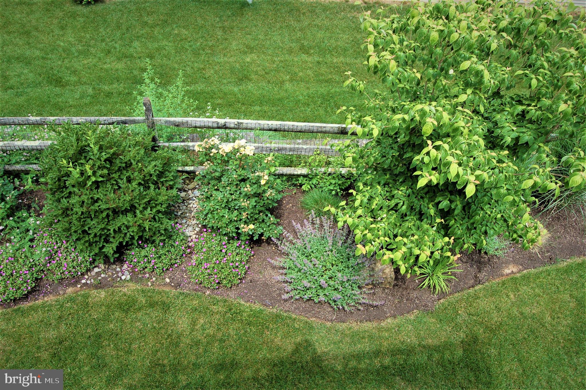 164 Davish Road Coatesville, PA 19320 - Photo 75 of 80 Back garden in early summer 2021