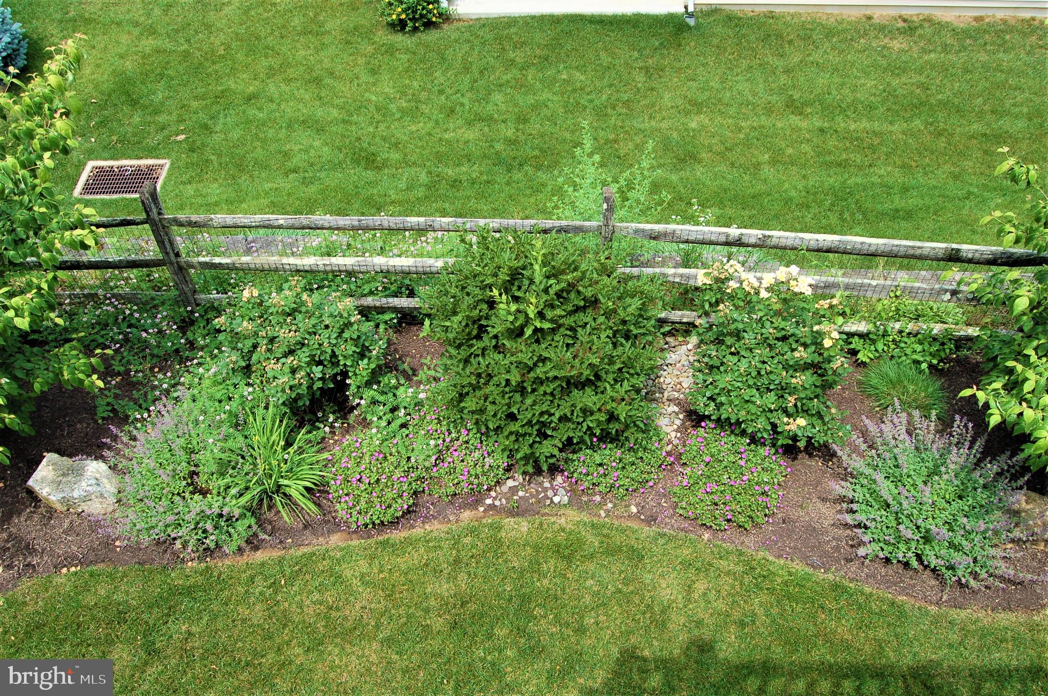 164 Davish Road Coatesville, PA 19320 - Photo 76 of 80 Back garden, early Summer 2021