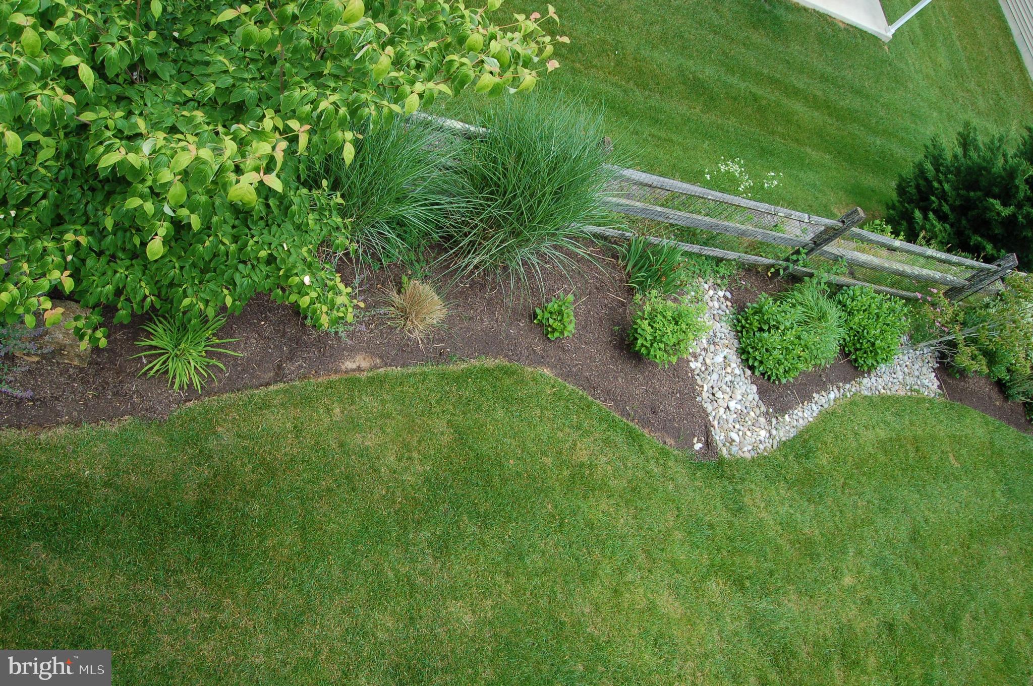 164 Davish Road Coatesville, PA 19320 - Photo 77 of 80 Back garden early Summer 20212
