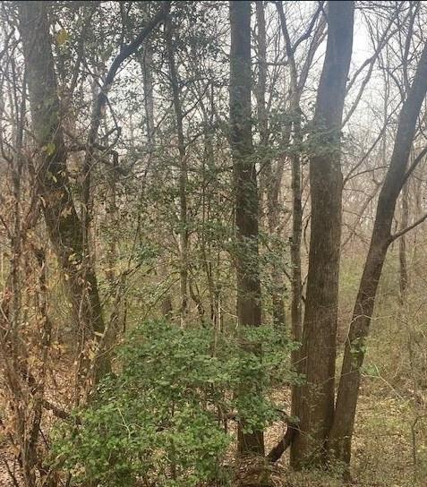 0 Jack Pittman Road Monroe, GA 30656 - Photo 10 of 12