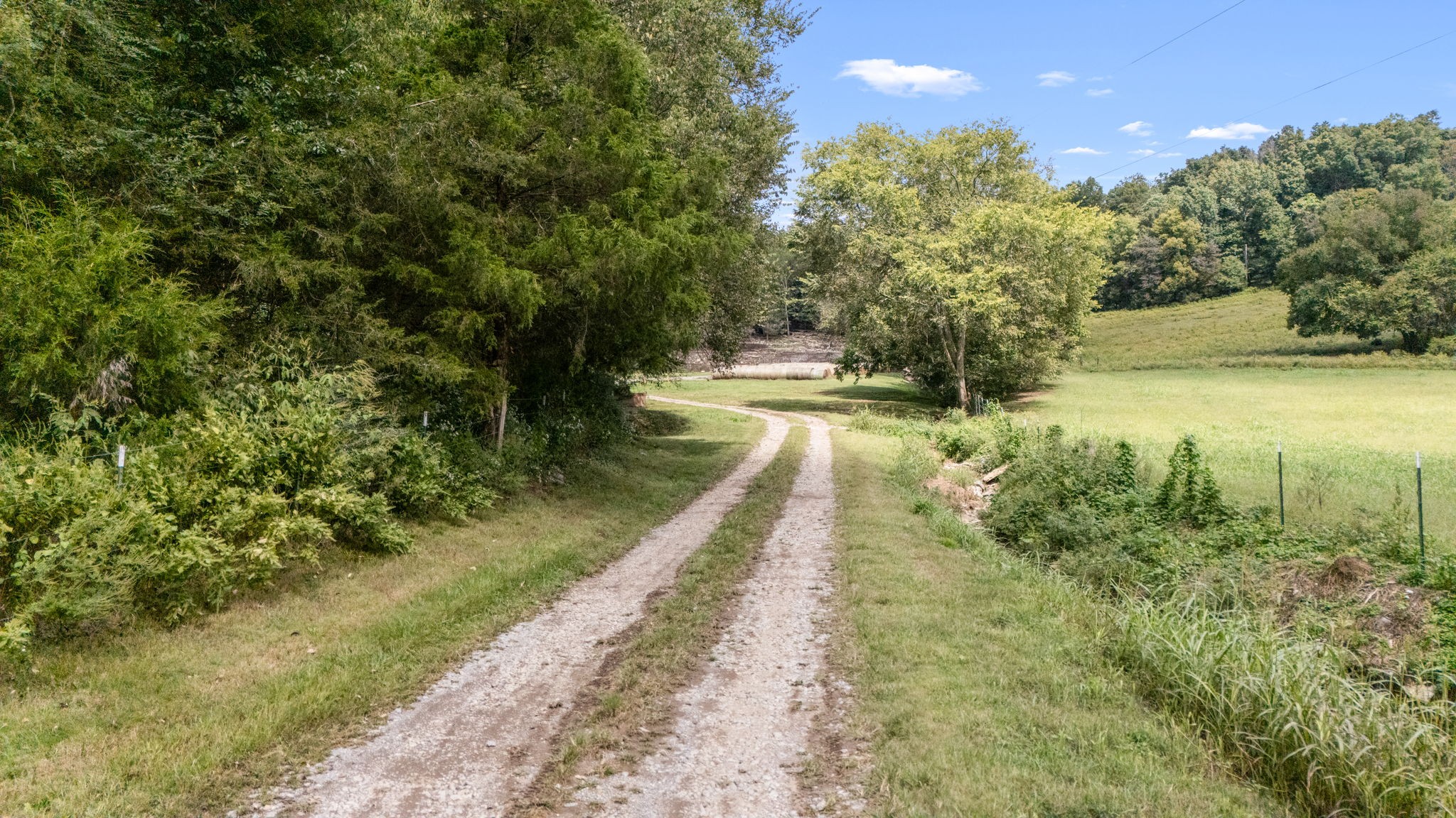 692 Anderson Road Shelbyville, TN 37160 - Photo 12 of 49 a view of a yard with an trees