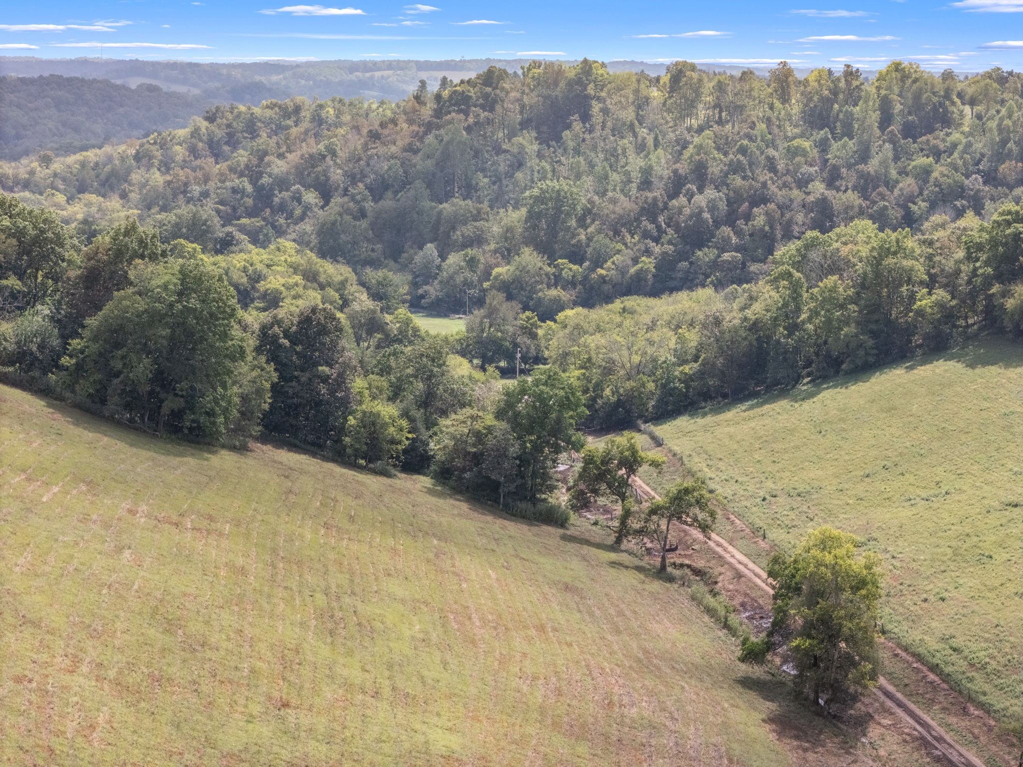 692 Anderson Road Shelbyville, TN 37160 - Photo 22 of 49 a view of a yard