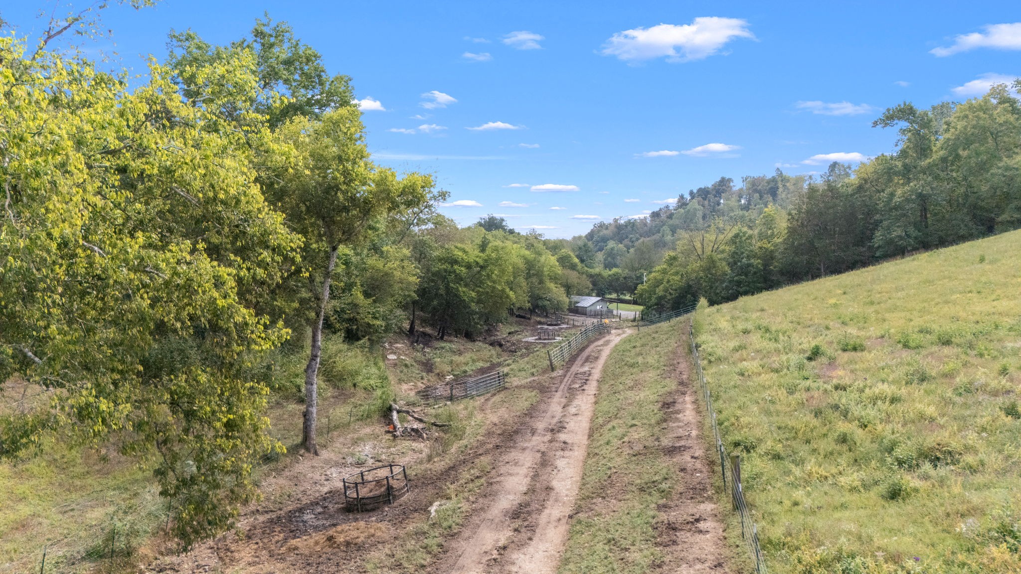 692 Anderson Road Shelbyville, TN 37160 - Photo 35 of 49 a view of a yard with trees in the background