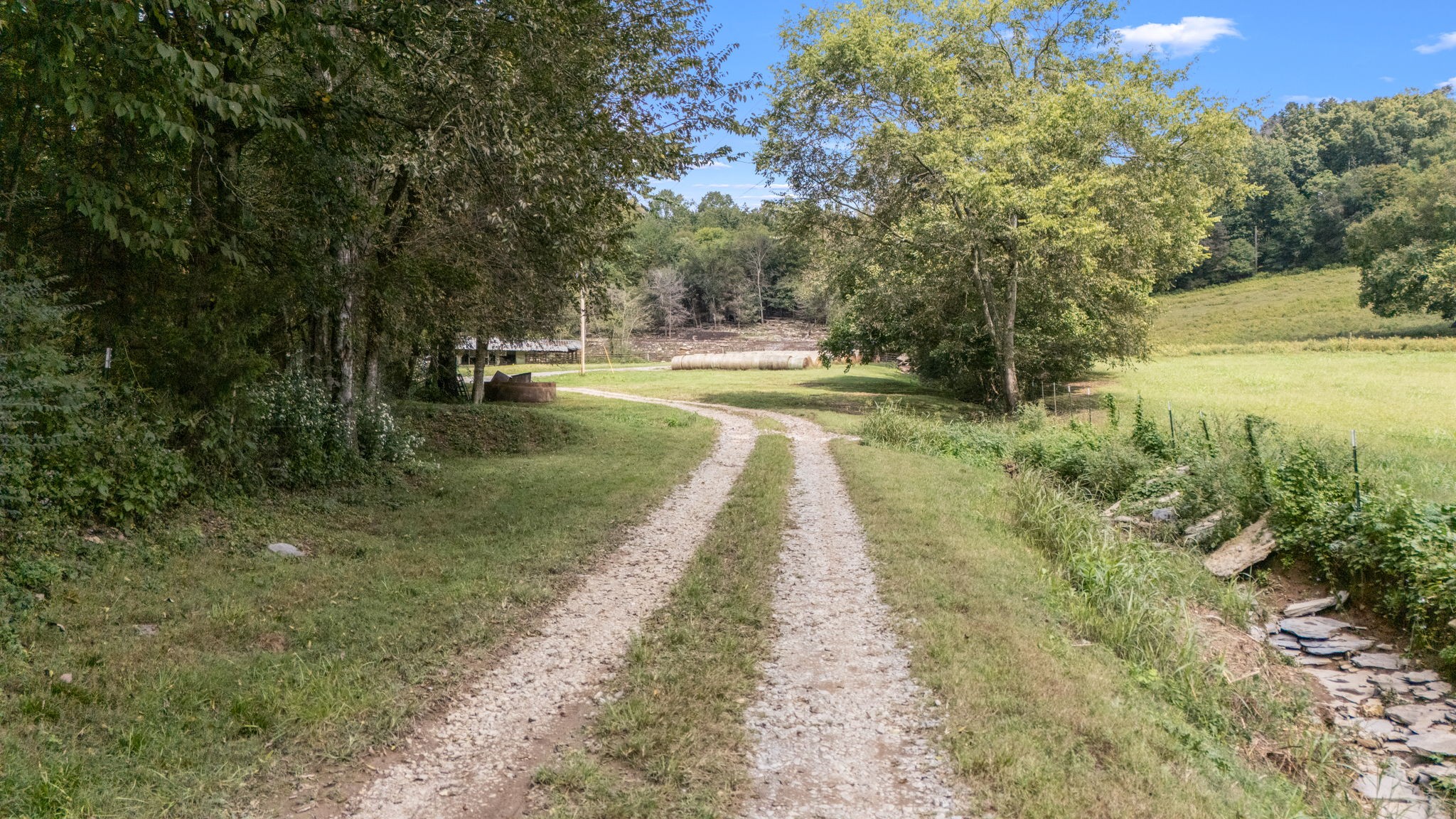692 Anderson Road Shelbyville, TN 37160 - Photo 41 of 49 a view of a yard with swimming pool