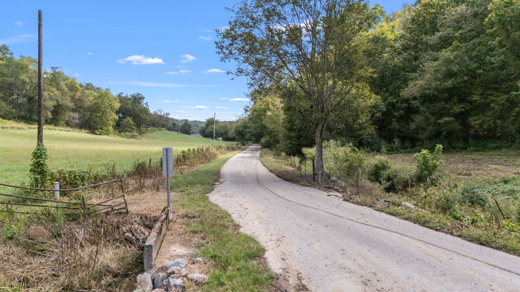 692 Anderson Road Shelbyville, TN 37160 - Photo 47 of 49 a view of a pathway both side of yard and green space