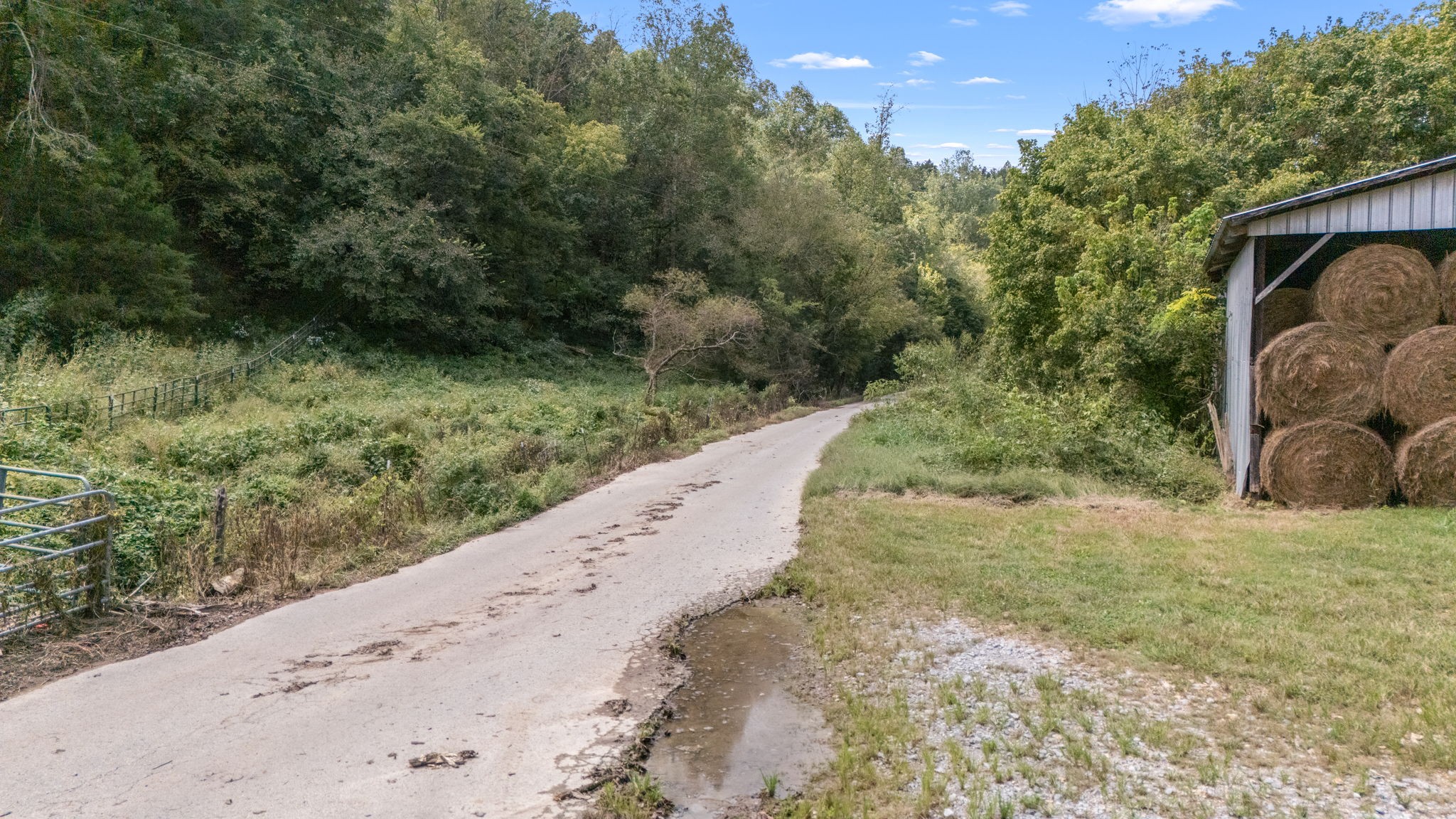 692 Anderson Road Shelbyville, TN 37160 - Photo 48 of 49 a view of a road with a yard