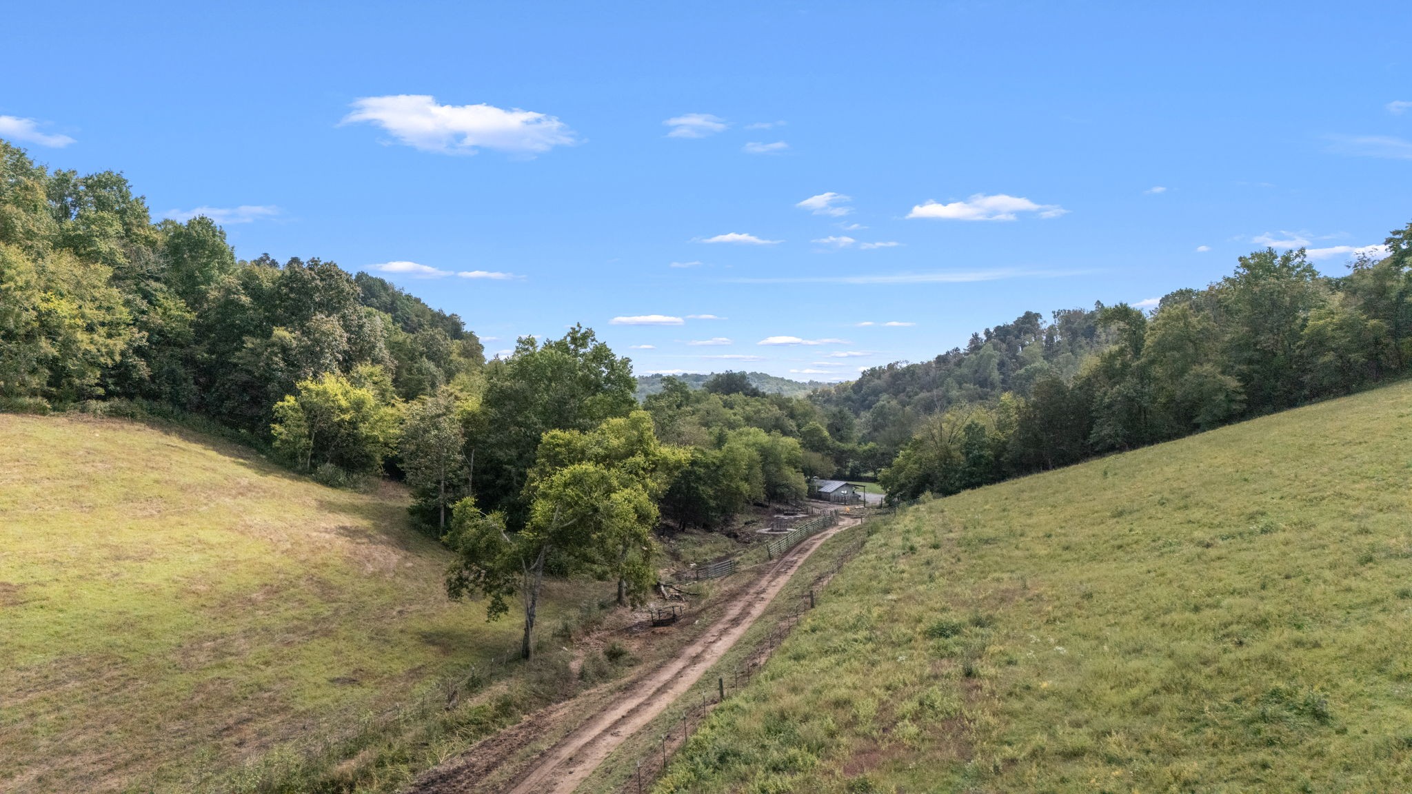 692 Anderson Road Shelbyville, TN 37160 - Photo 10 of 49 a view of a dry yard with trees in the background