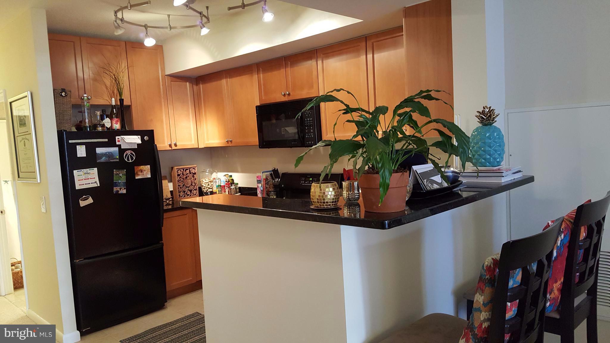 851 North Glebe Road, Unit 510 Arlington, VA 22203 - Photo 7 of 27 Kitchen