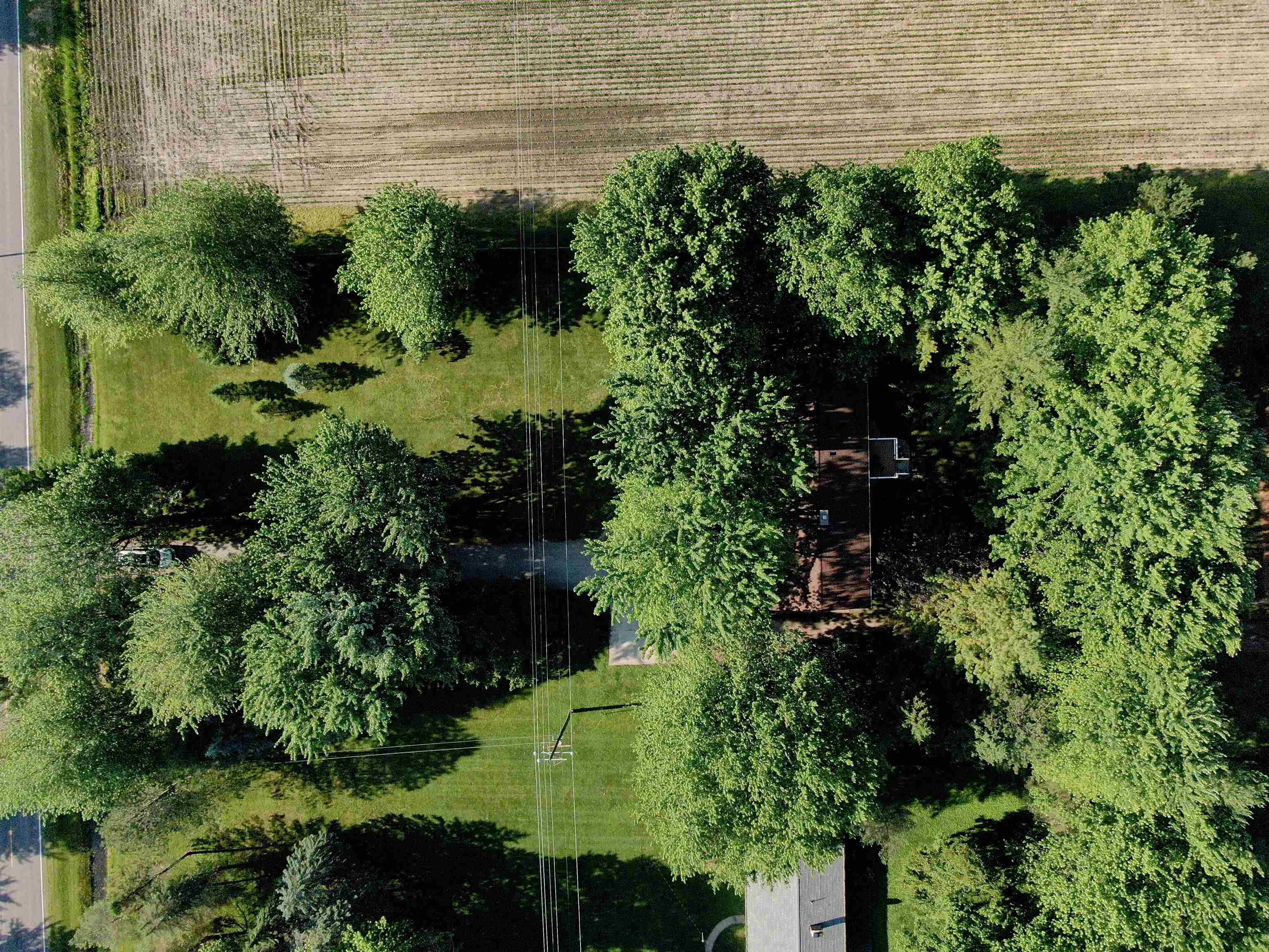 6765 North Gleaner Road Freeland, MI 48623 - Photo 55 of 61