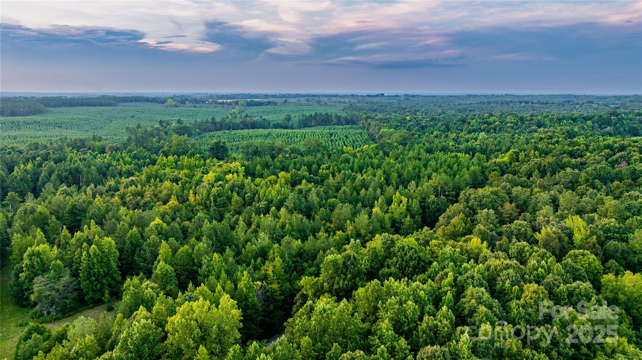 0 Daystar Road, Unit 11B Lancaster, SC 29720 - Photo 14 of 15