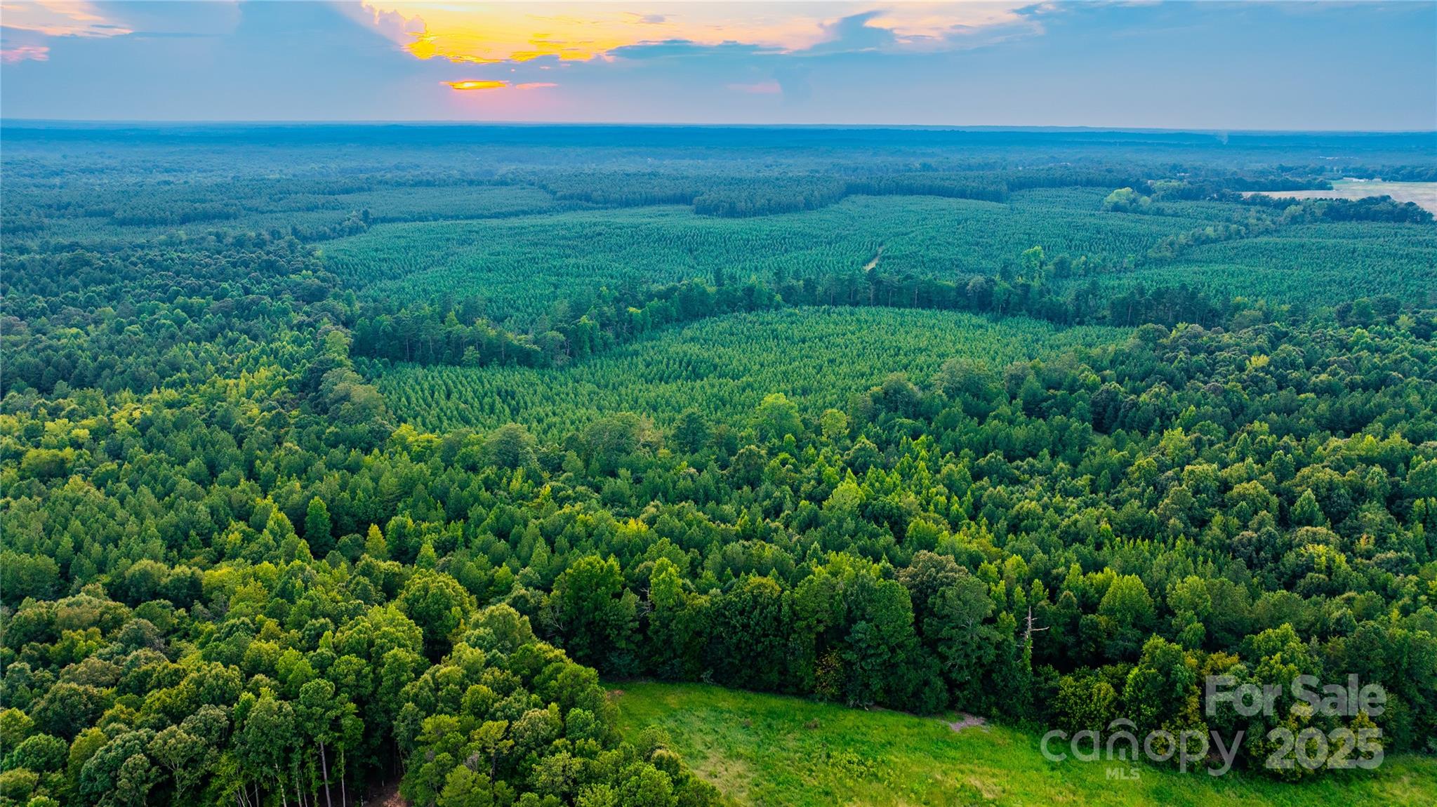 0 Daystar Road, Unit 11B Lancaster, SC 29720 - Photo 2 of 15