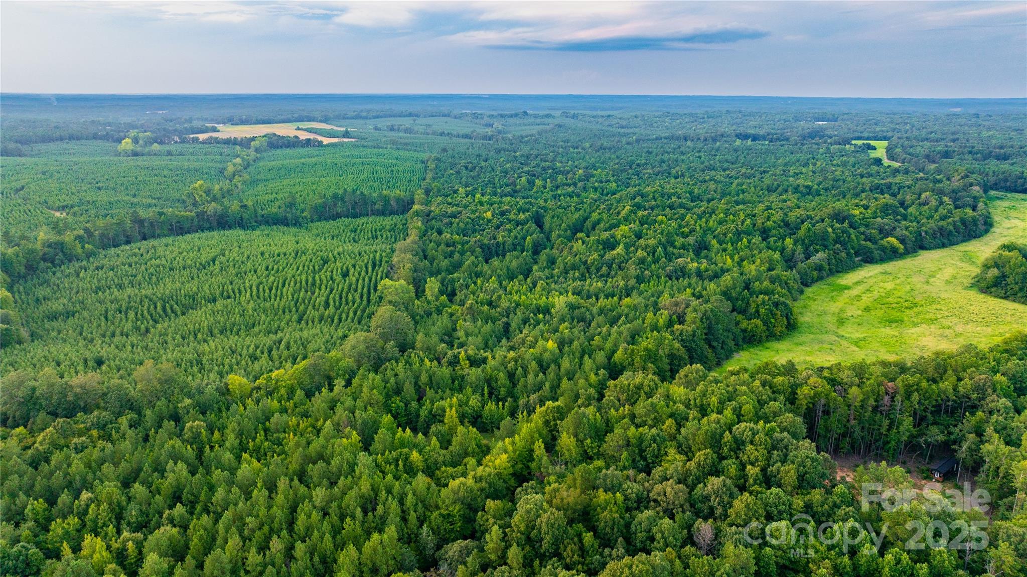 0 Daystar Road, Unit 11B Lancaster, SC 29720 - Photo 5 of 15