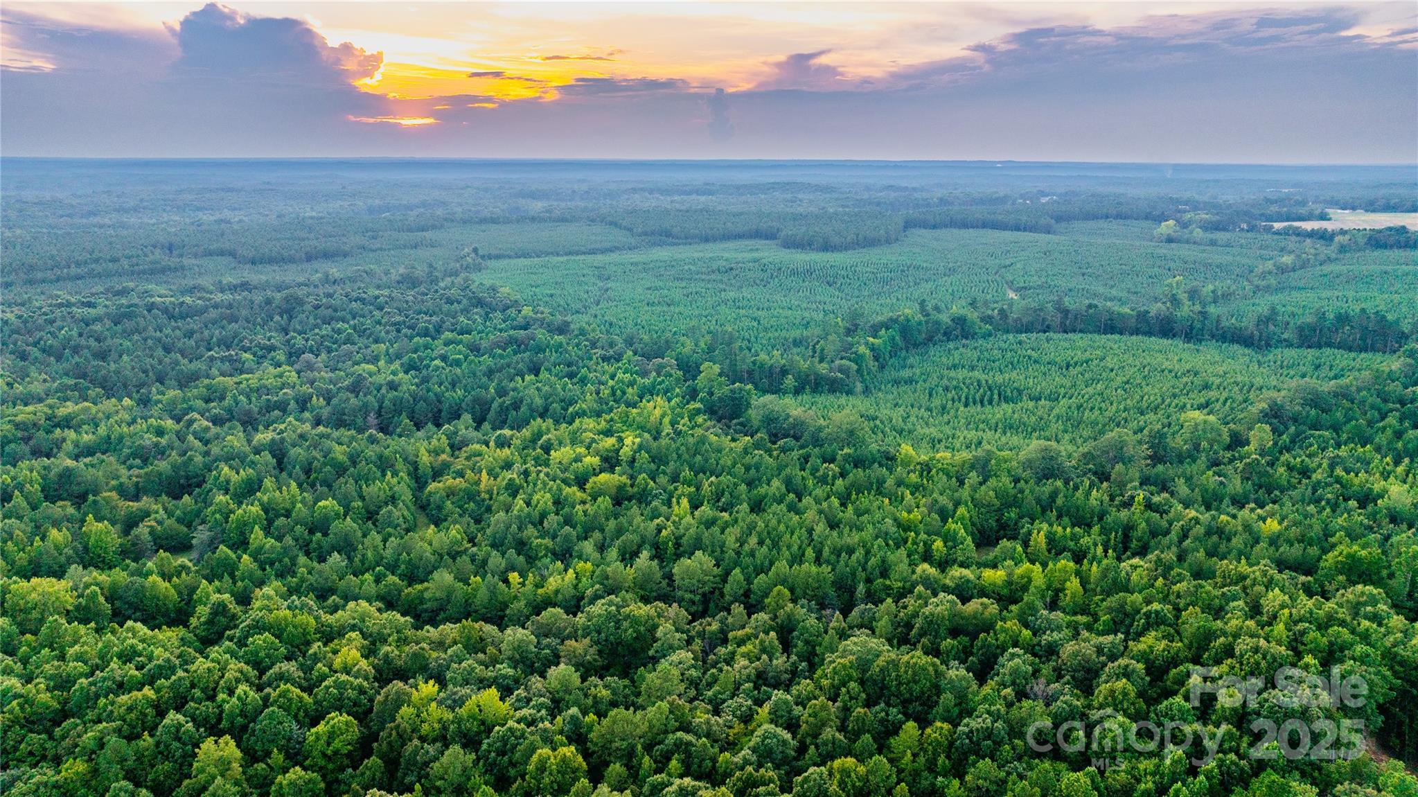 0 Daystar Road, Unit 11B Lancaster, SC 29720 - Photo 9 of 15