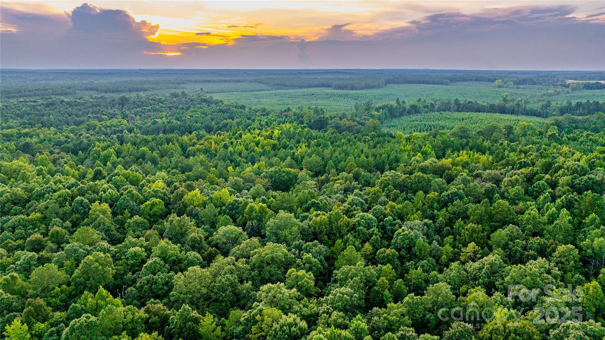 0 Daystar Road, Unit 11B Lancaster, SC 29720 - Photo 10 of 15