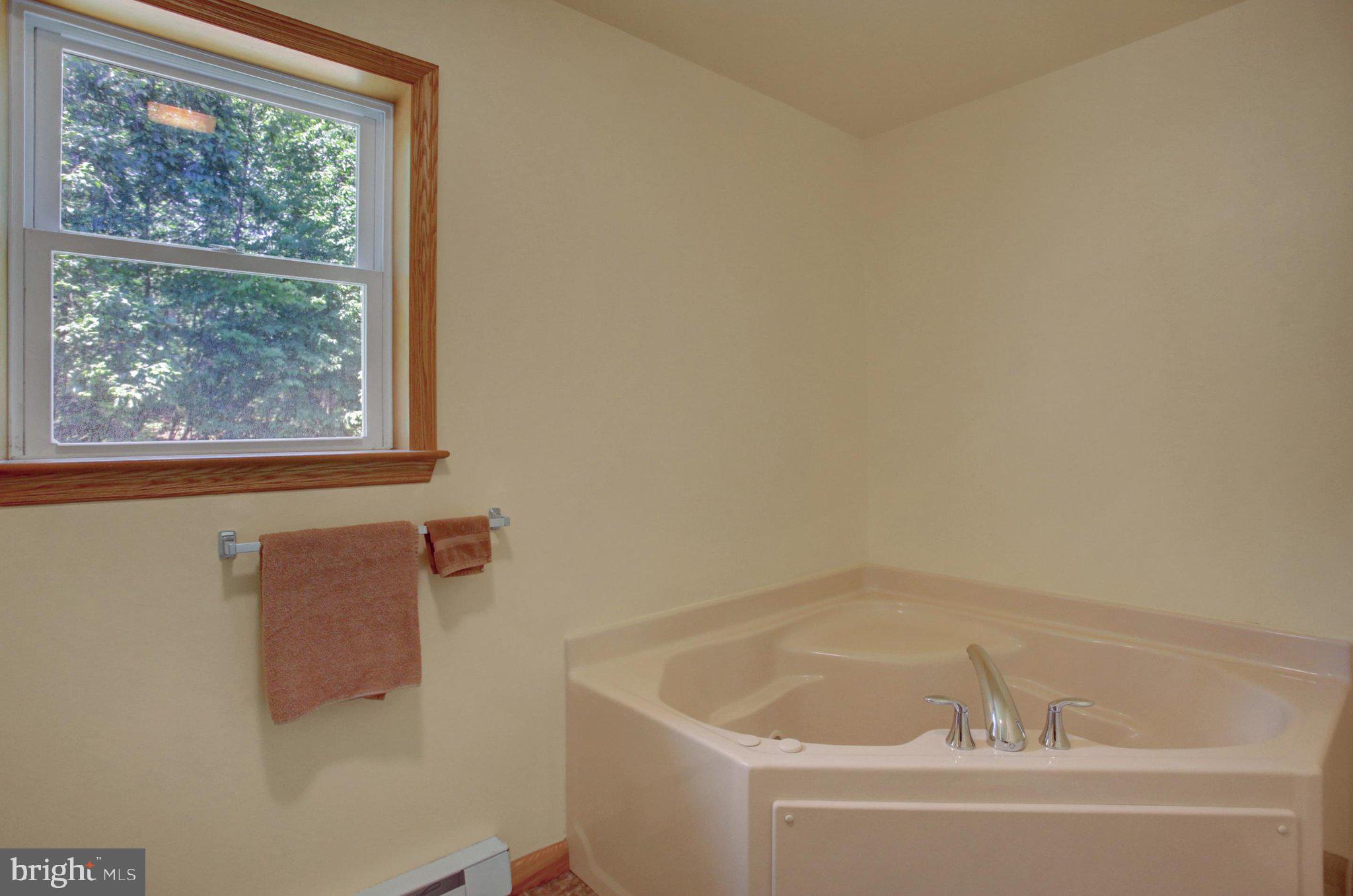 21060 Revercomb Lane Shade Gap, PA 17255 - Photo 25 of 57 Jetted tub
