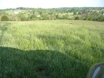 1635 Bonds Mill Road Lawrenceburg, KY 40342 - Photo 3 of 9 Photo 3