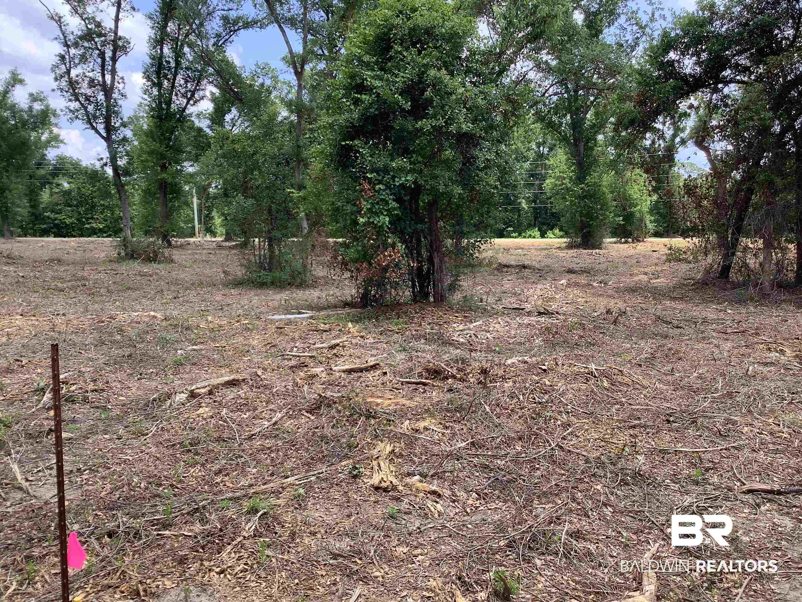 27 Clarke Ridge Road Foley, AL 36535 - Photo 5 of 9