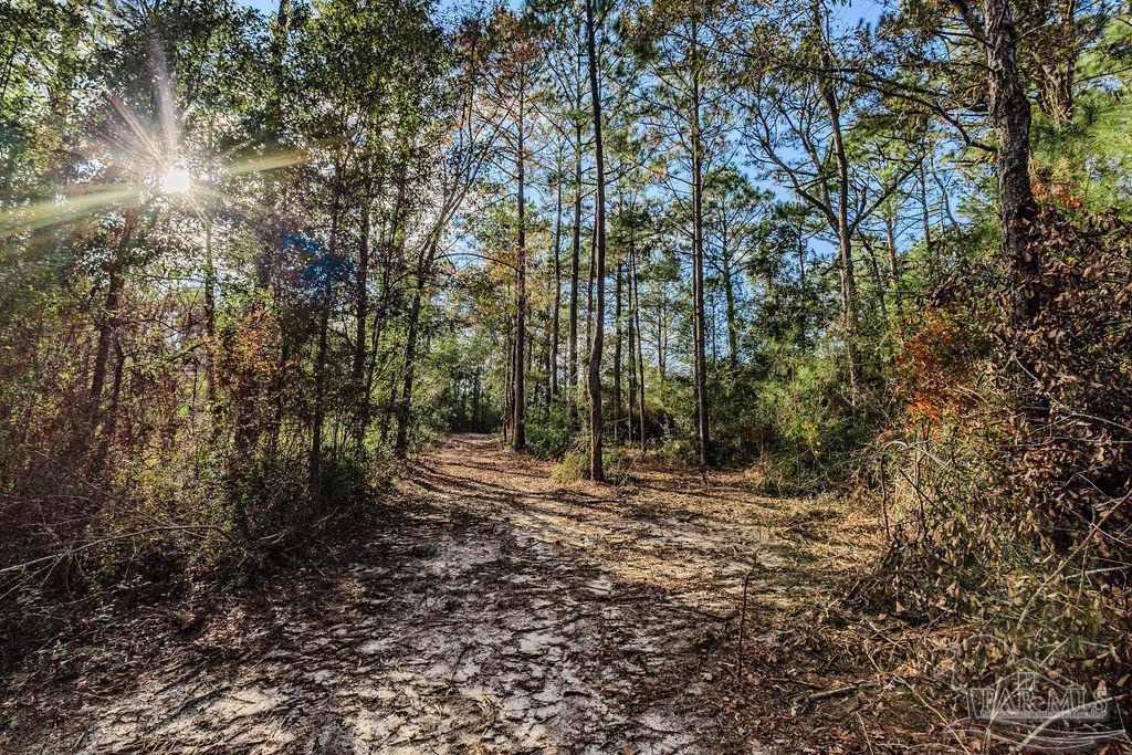 4 A Walling Road Milton, FL 32570 - Photo 1 of 23 Gallery Image 1