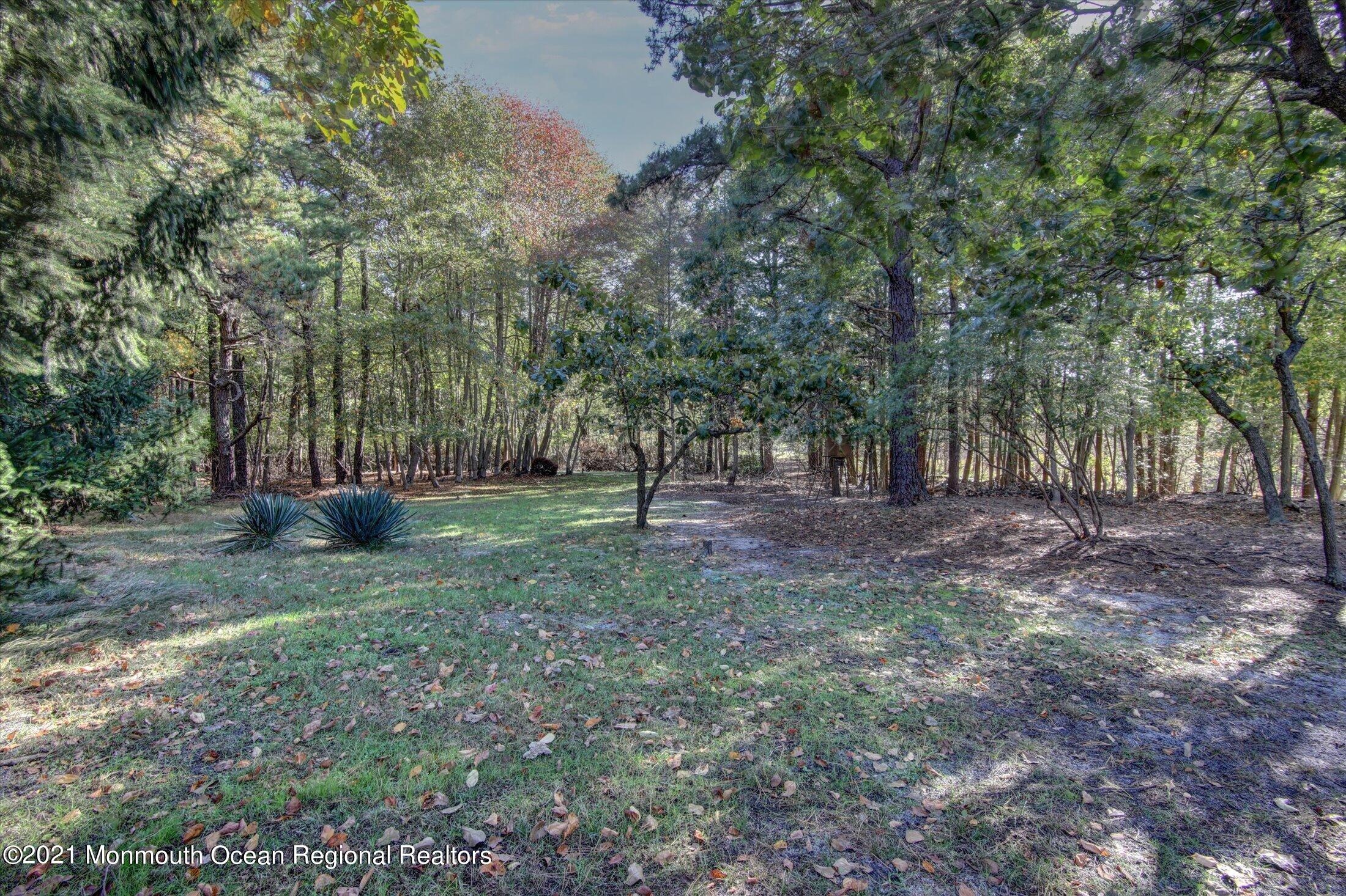 17 Ashley Road Whiting, NJ 08759 - Photo 28 of 31 a view of a tree in the middle of a yard