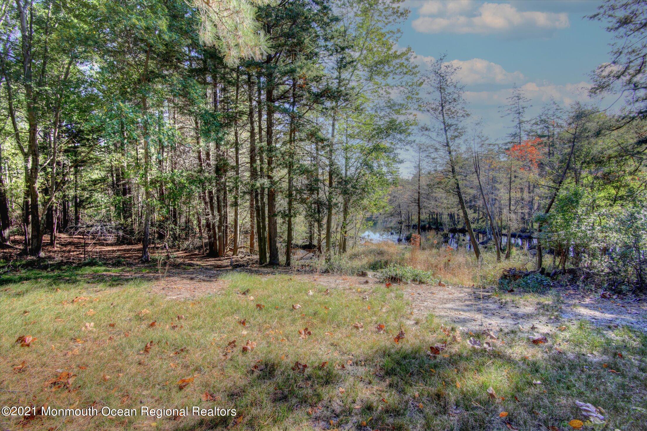 17 Ashley Road Whiting, NJ 08759 - Photo 29 of 31 a view of swimming pool with a yard and trees