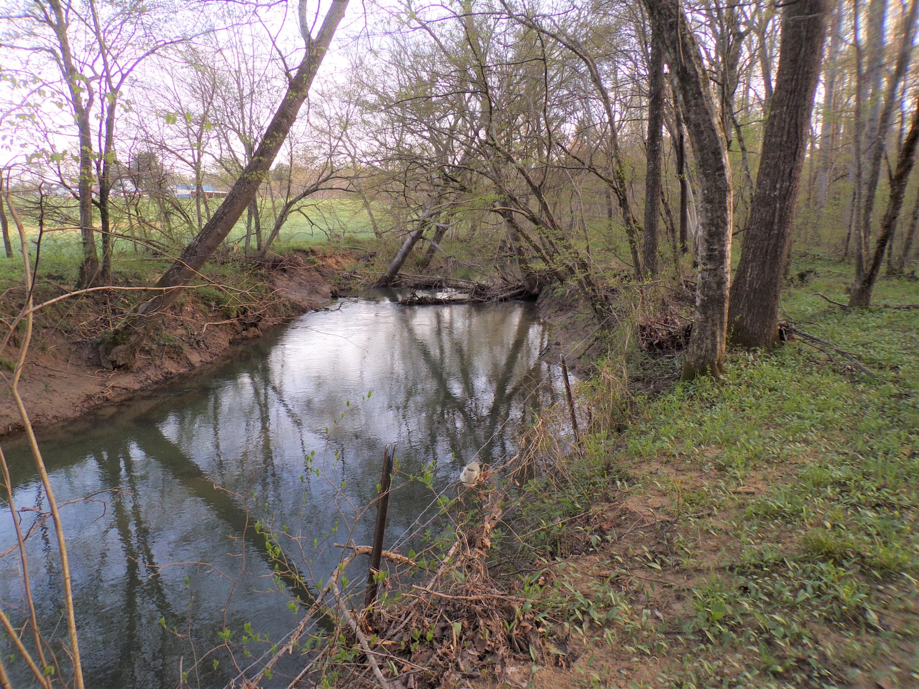 250 Grapevine Road Crossville, TN 38572 - Photo 13 of 37 101_0649