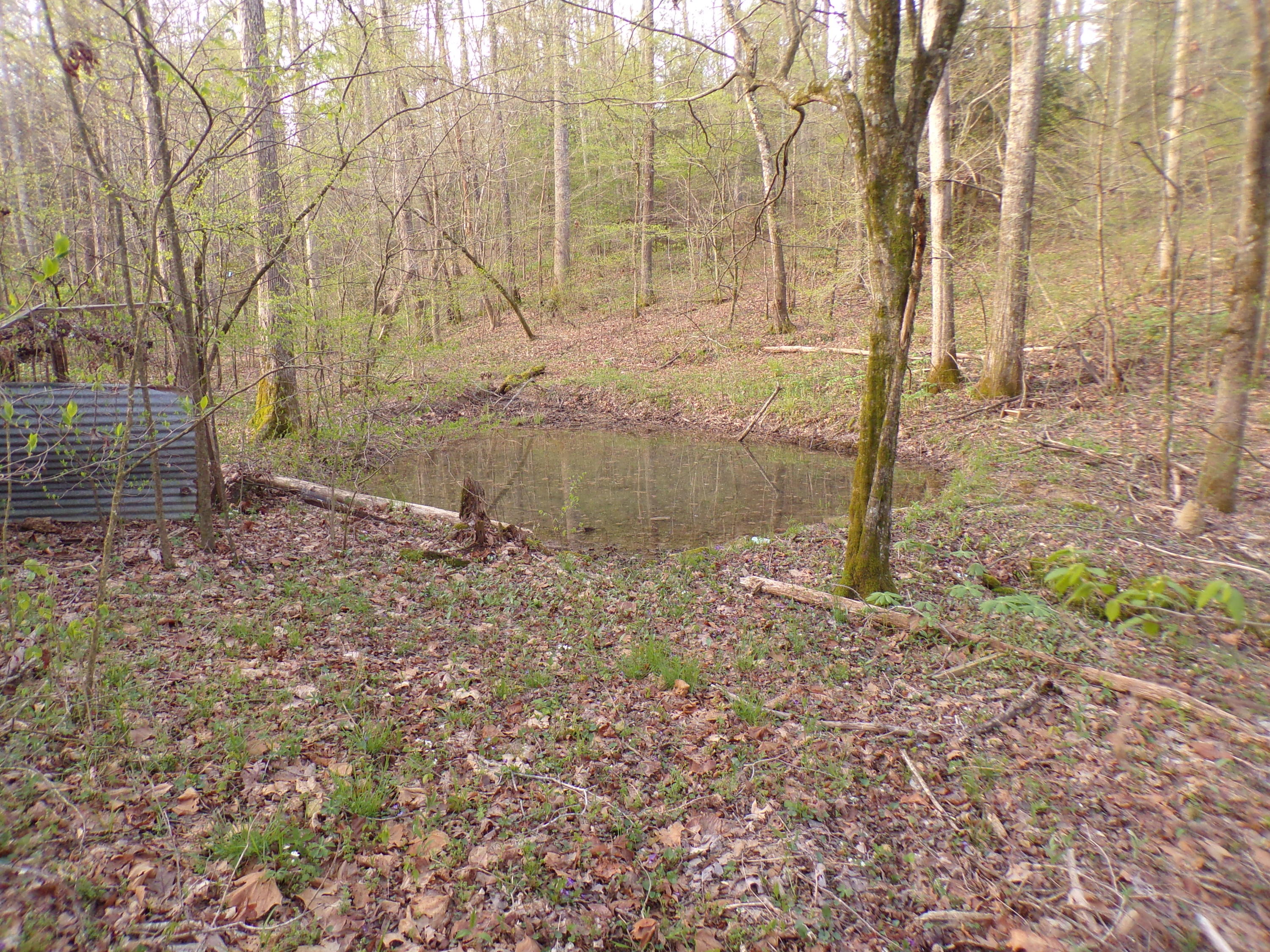 250 Grapevine Road Crossville, TN 38572 - Photo 14 of 37 101_0650