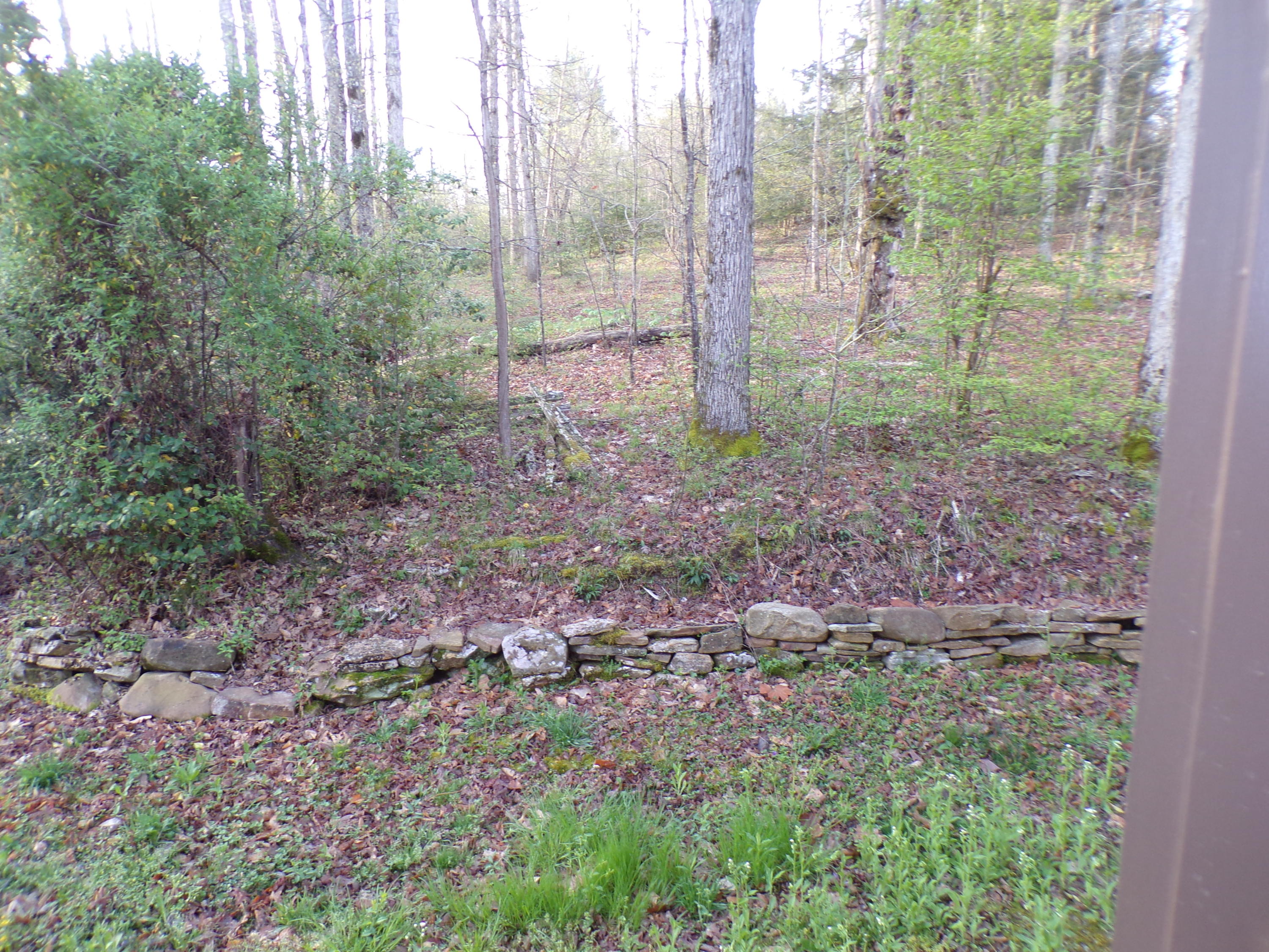 250 Grapevine Road Crossville, TN 38572 - Photo 26 of 37 101_0667