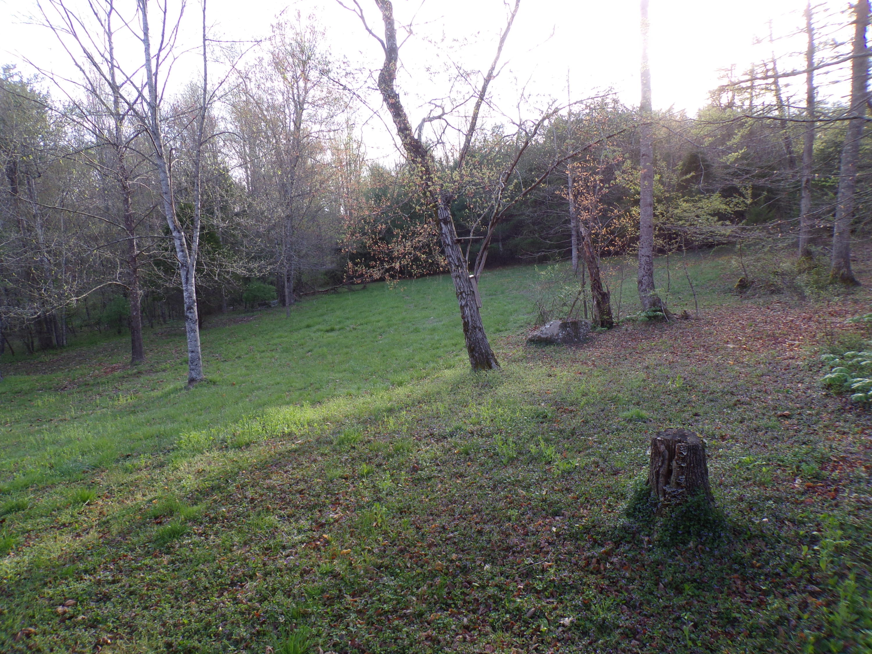 250 Grapevine Road Crossville, TN 38572 - Photo 27 of 37 101_0668