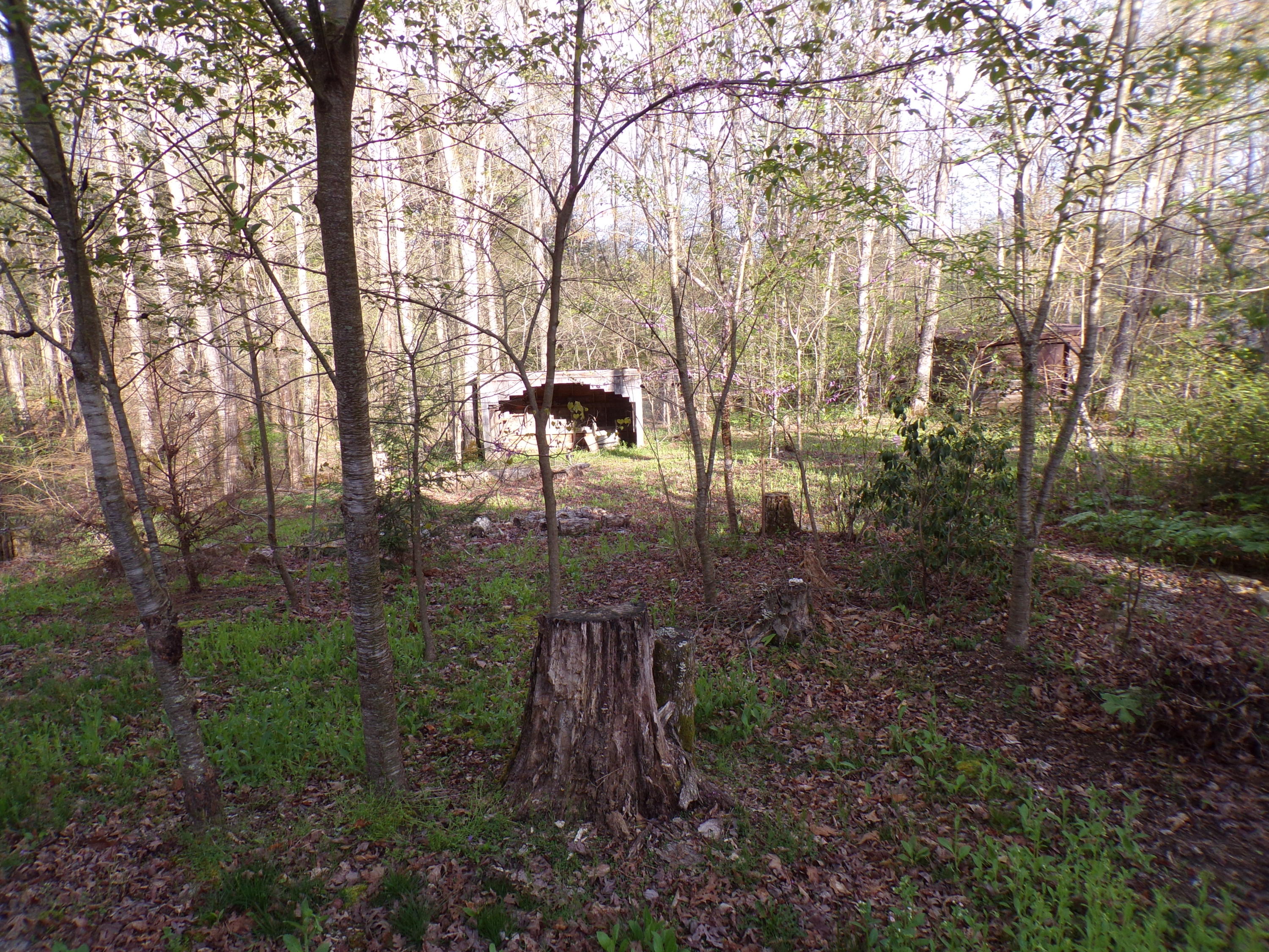 250 Grapevine Road Crossville, TN 38572 - Photo 34 of 37 101_0677