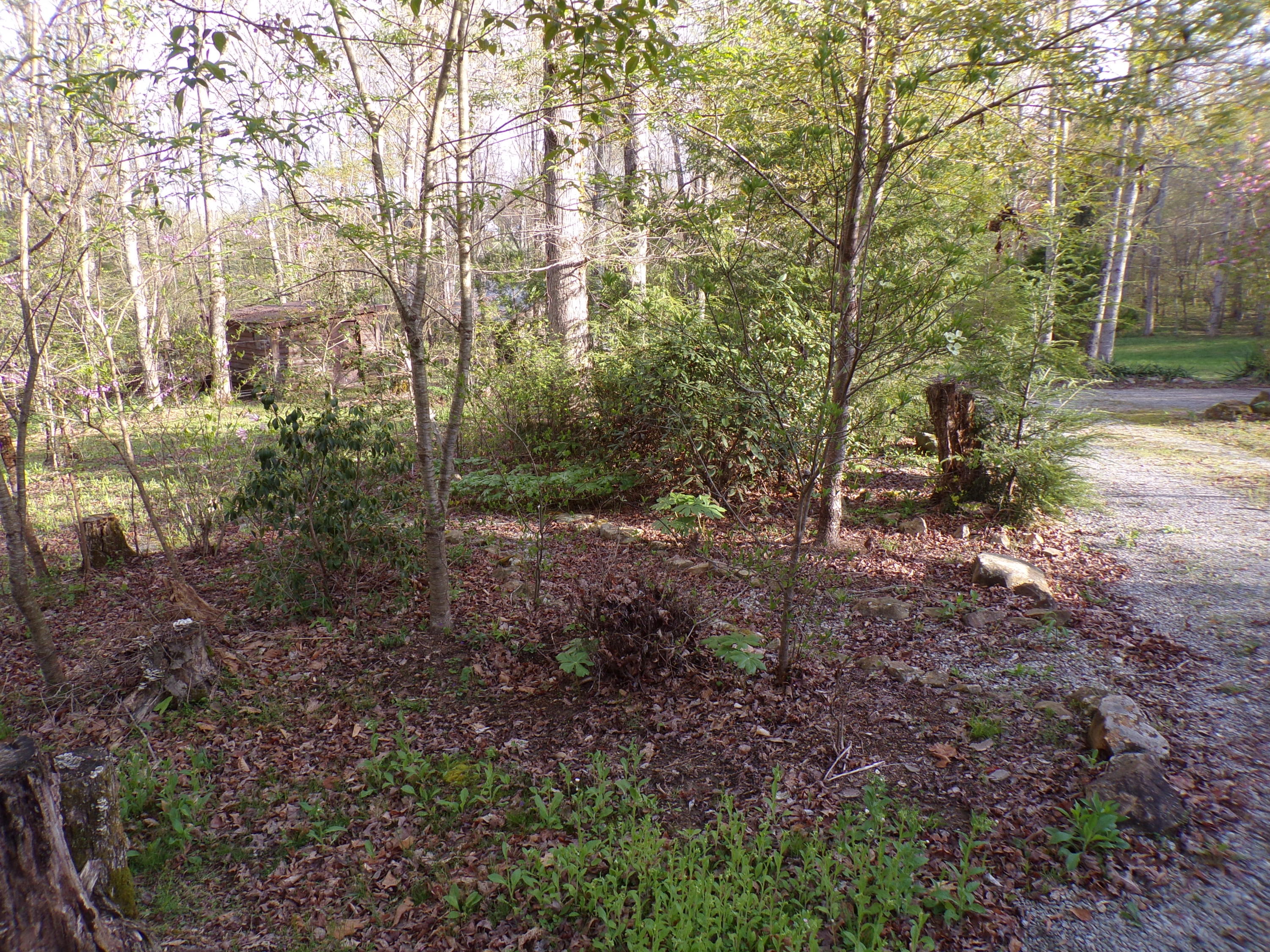 250 Grapevine Road Crossville, TN 38572 - Photo 35 of 37 101_0678
