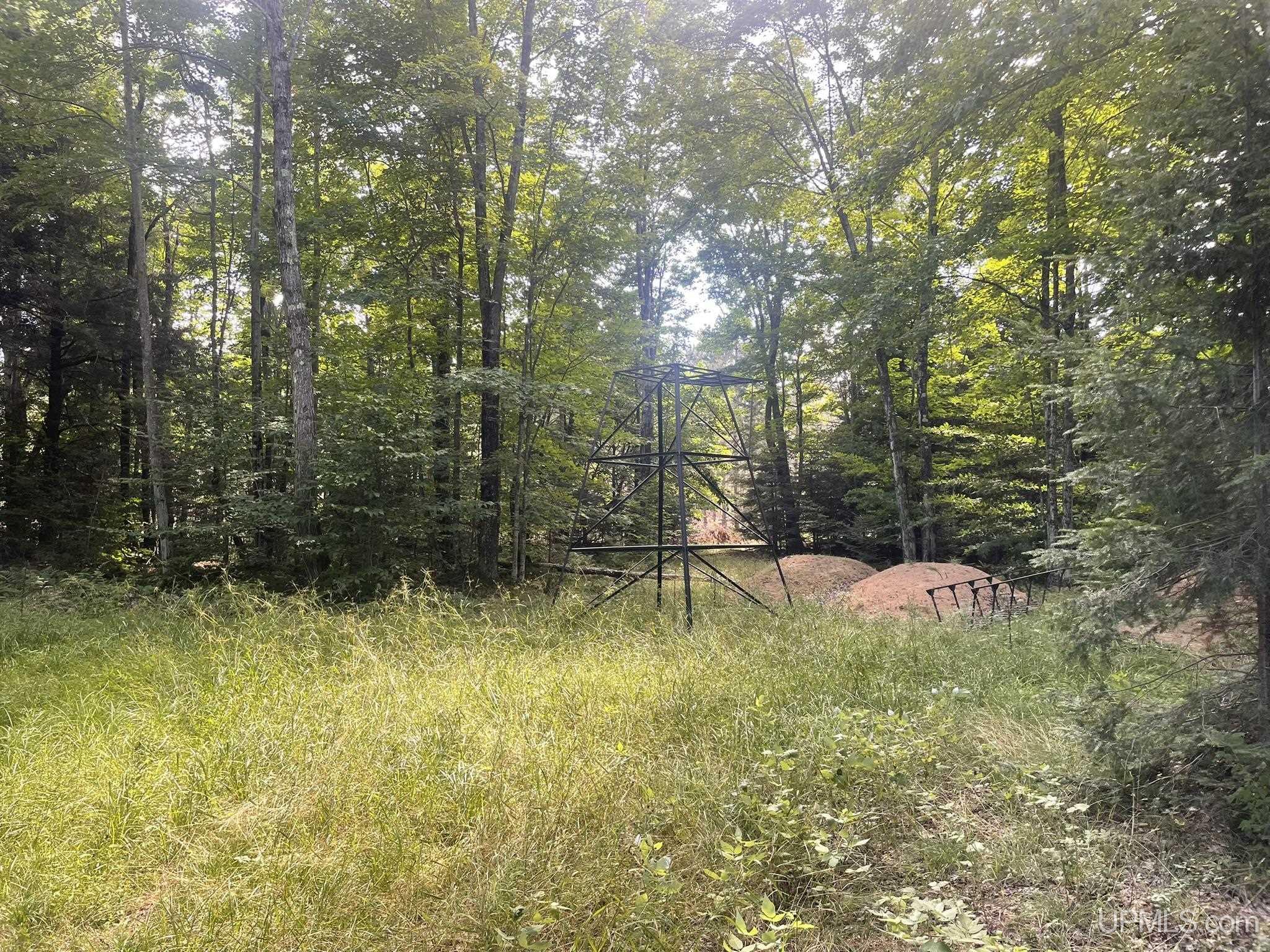 Tbd South Little Harbor Road Manistique, MI 49854 - Photo 12 of 35 Gallery Image 12