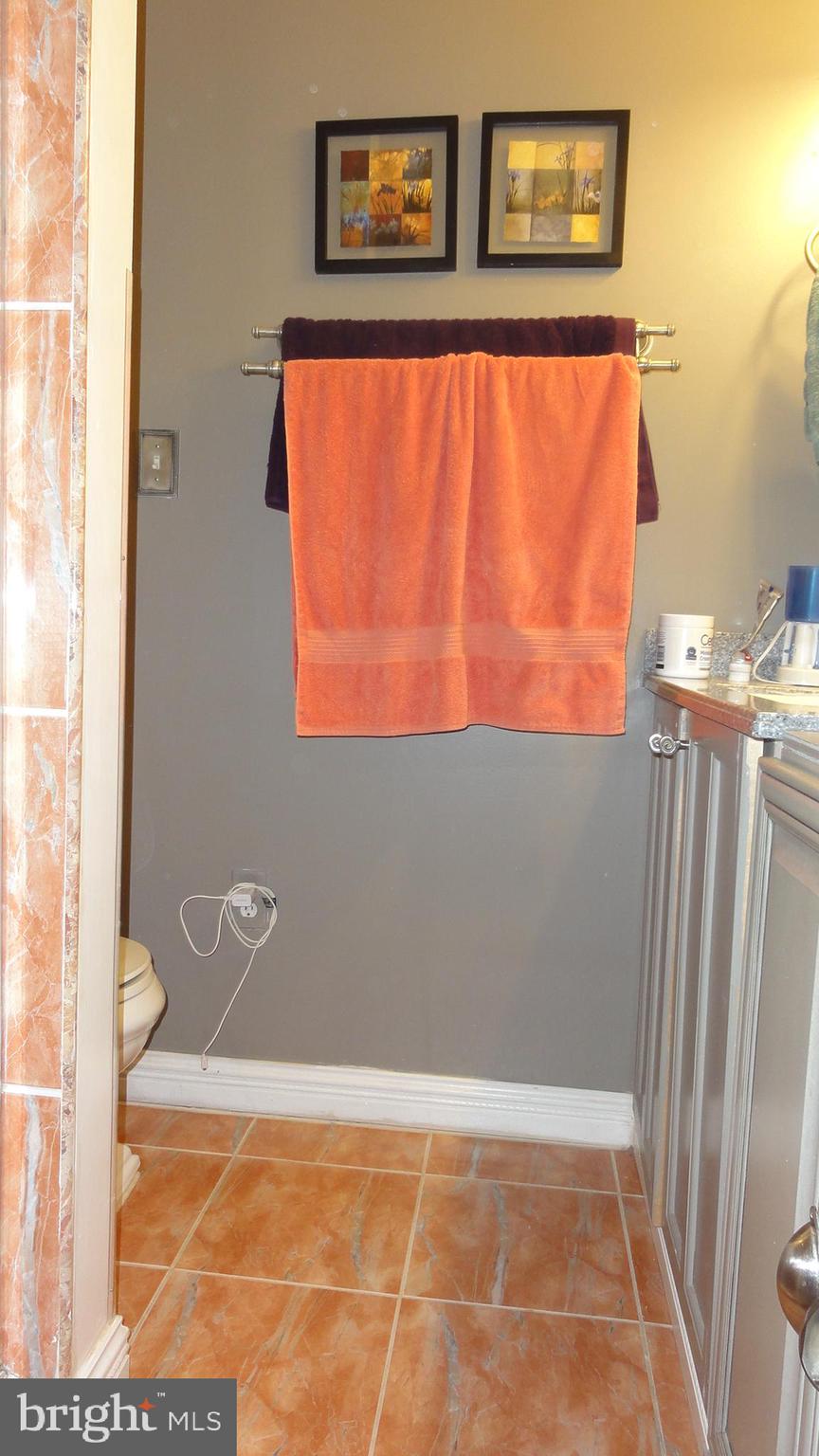 430 Highmeadow Road Reisterstown, MD 21136 - Photo 18 of 36 Master Bath w/Vanity & Extra Storage Cabinets