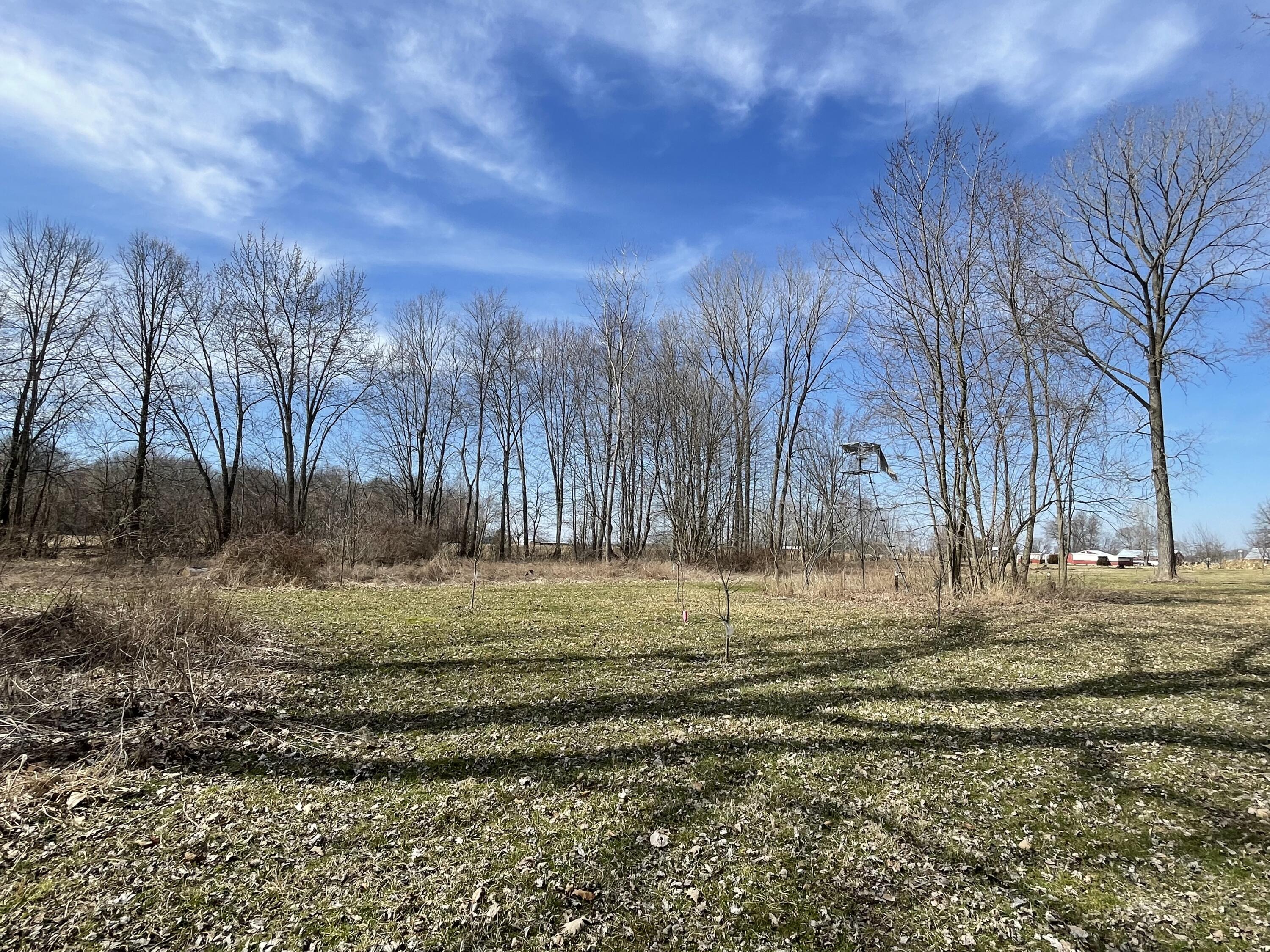 4769 Selma Pike Springfield, OH 45502 - Photo 82 of 93