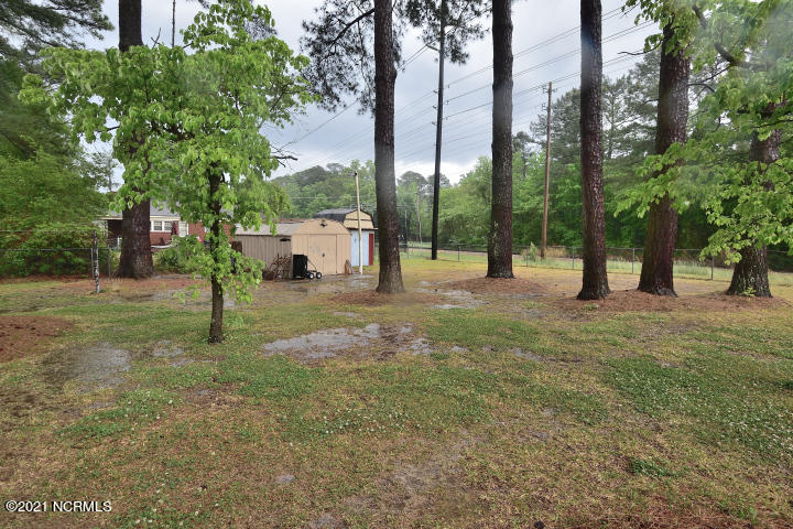 3009 Amherst Road Rocky Mount, NC 27804 - Photo 17 of 20 view from back