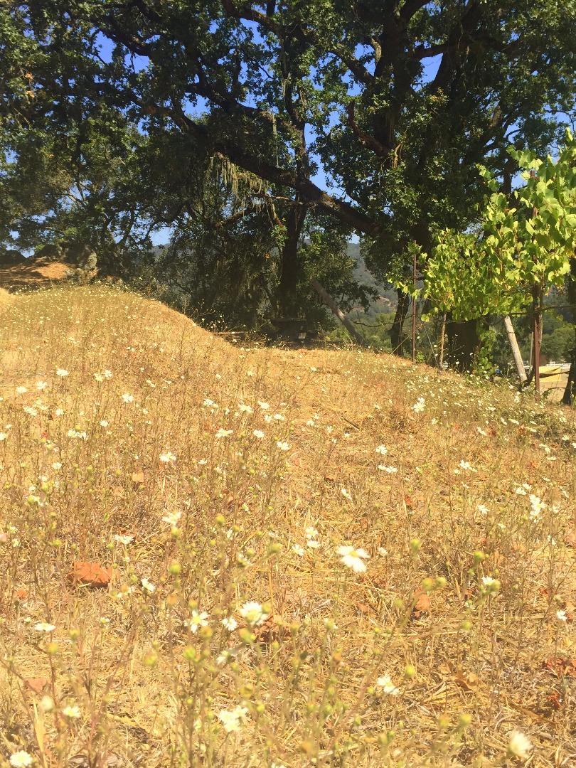 8485 Pharmer Road Gilroy, CA 95020 - Photo 30 of 47 a view of yard