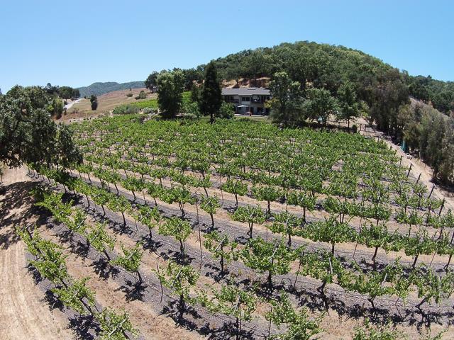 8485 Pharmer Road Gilroy, CA 95020 - Photo 3 of 47 a view of a green field with lots of bushes