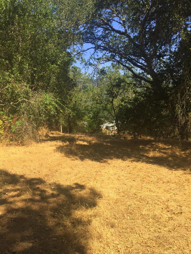 8485 Pharmer Road Gilroy, CA 95020 - Photo 33 of 47 a view of swimming pool with an outdoor space