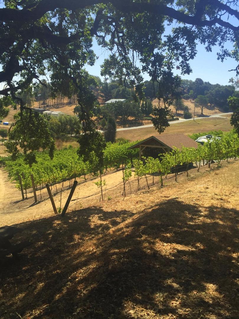 8485 Pharmer Road Gilroy, CA 95020 - Photo 35 of 47 a view of a yard with a tree