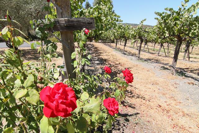 8485 Pharmer Road Gilroy, CA 95020 - Photo 37 of 47