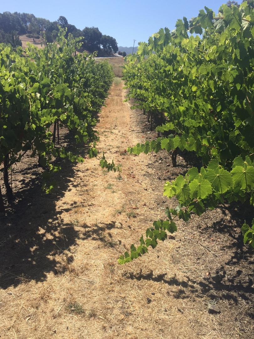 8485 Pharmer Road Gilroy, CA 95020 - Photo 38 of 47 a view of a lake with mountain view