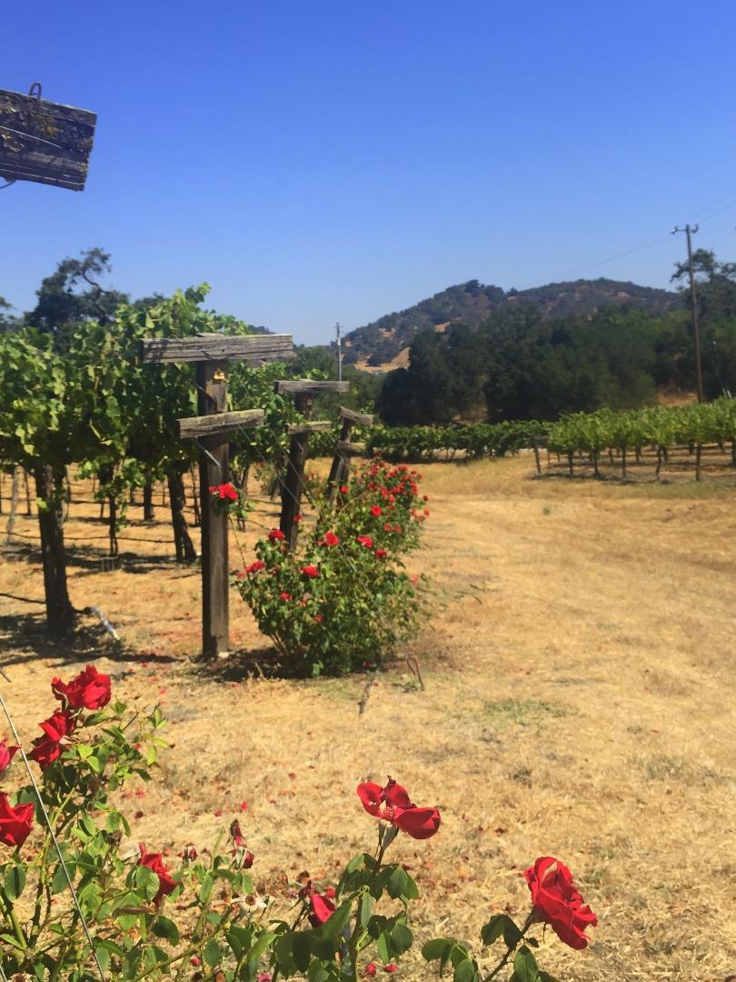 8485 Pharmer Road Gilroy, CA 95020 - Photo 39 of 47 a view of a lake with a mountain