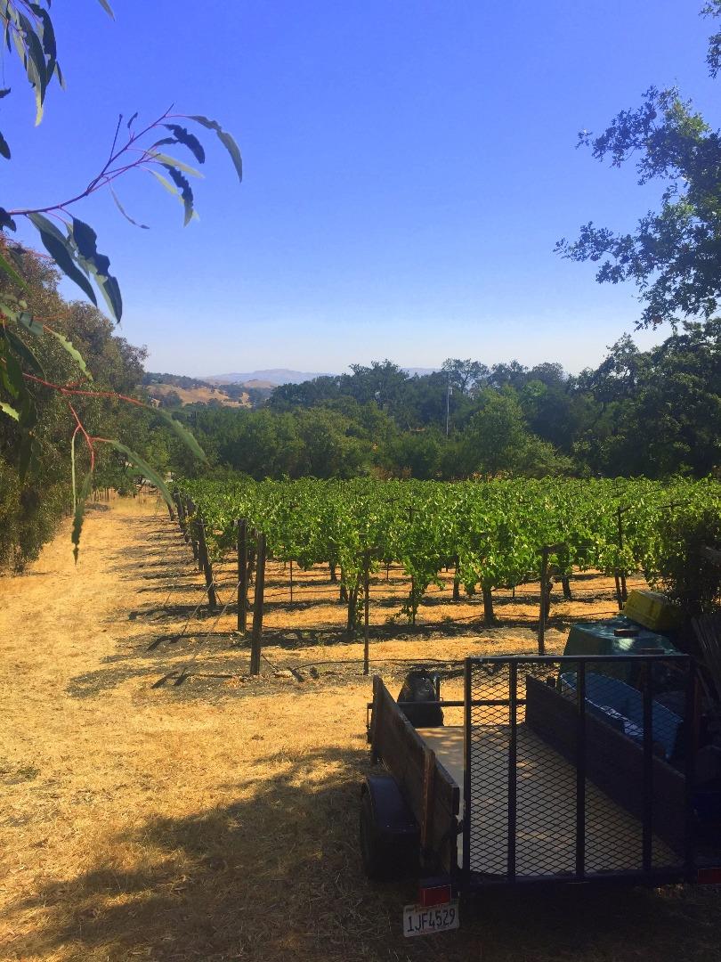 8485 Pharmer Road Gilroy, CA 95020 - Photo 41 of 47 a view of a lake with couches and city view