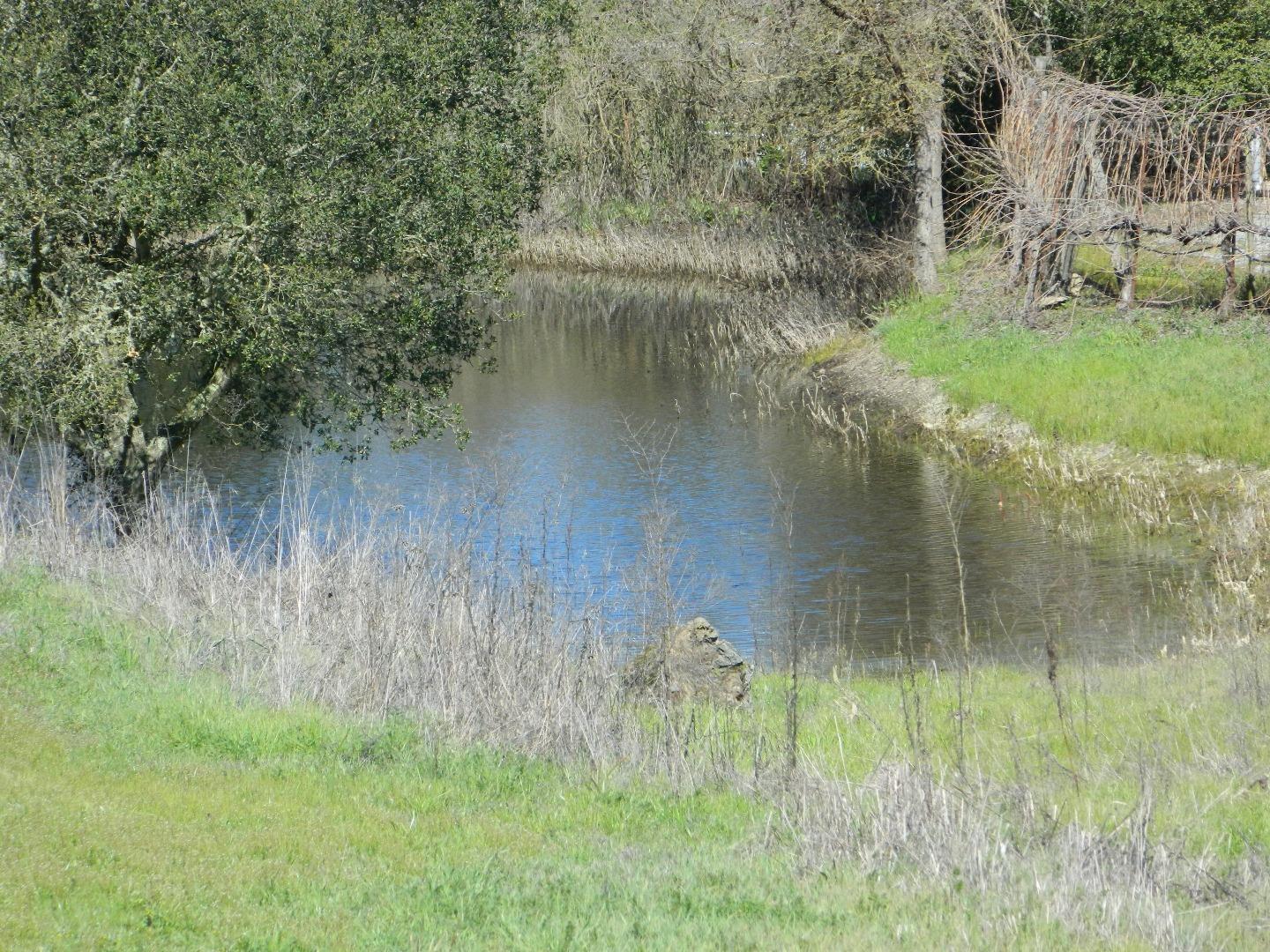 8485 Pharmer Road Gilroy, CA 95020 - Photo 44 of 47 a view of a lush green forest next to a lake