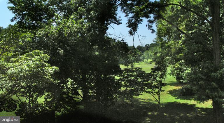 2061 Golf Course Drive Reston, VA 20191 - Photo 2 of 30 View from Bedrooms of Golf Course thru trees