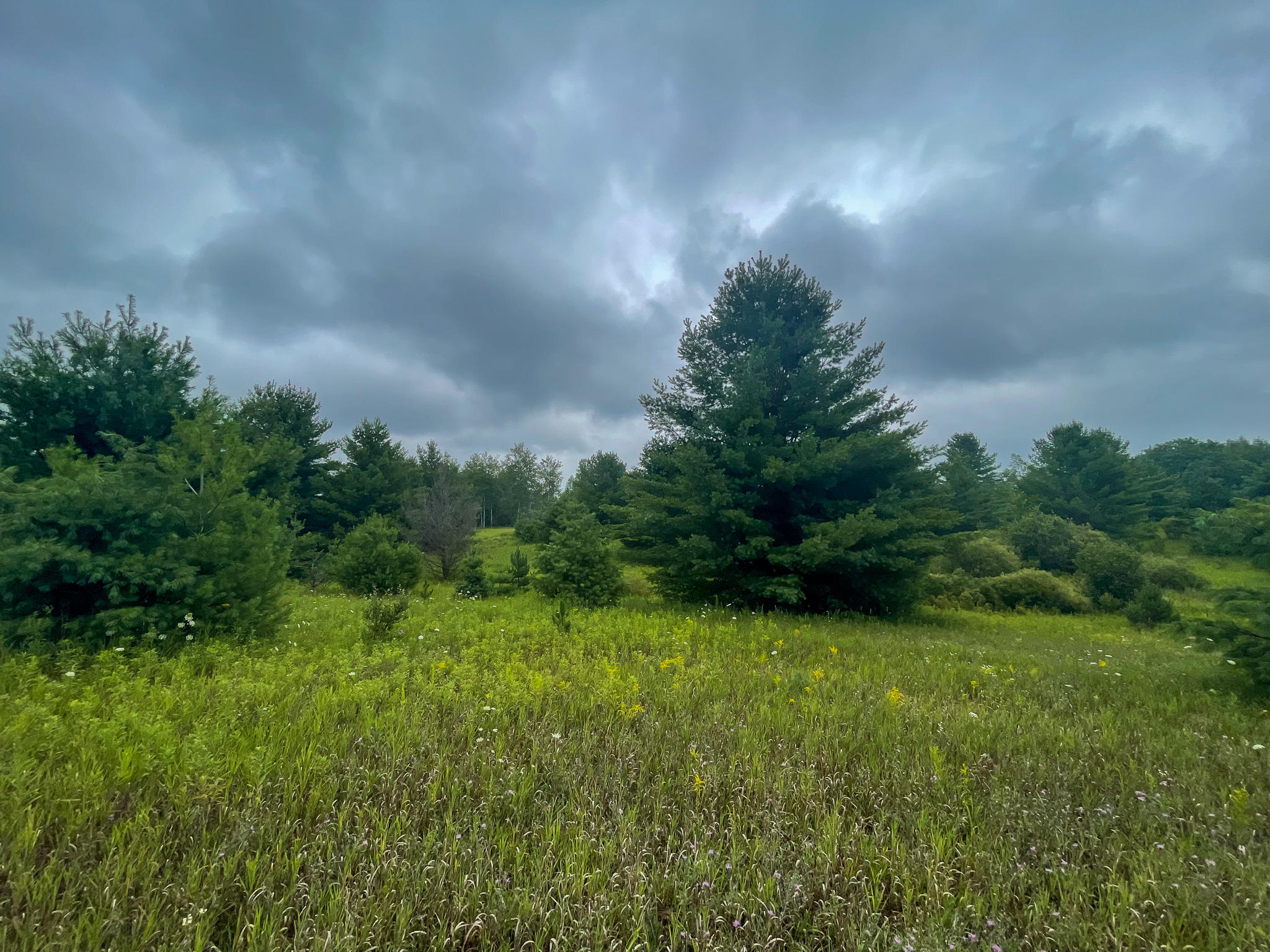 0 16 16 Mile Road Leroy, MI 49655 - Photo 1 of 47 1